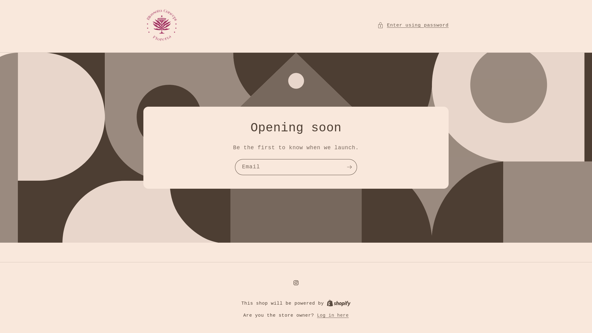 website screenshot of https://blossomconcept.cl/