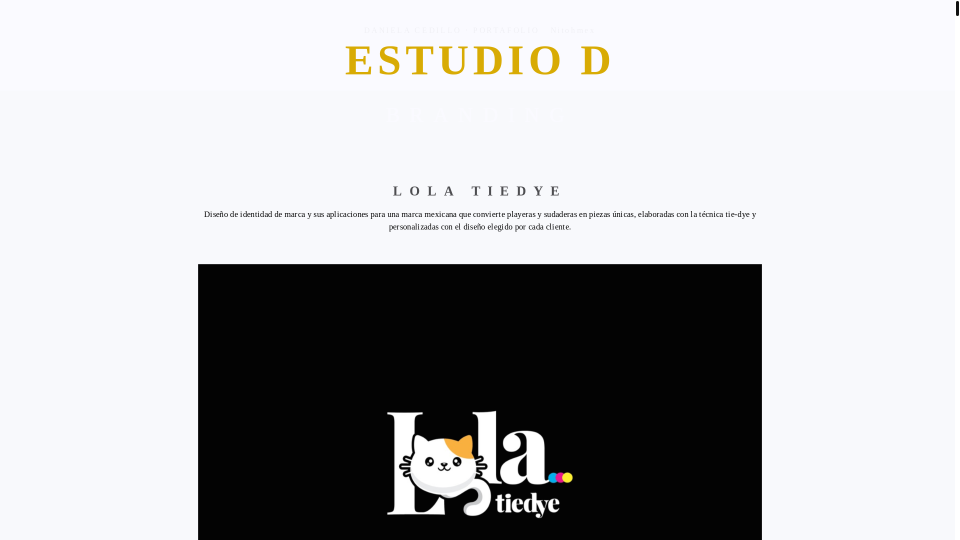website screenshot of https://danielacedillo.net/