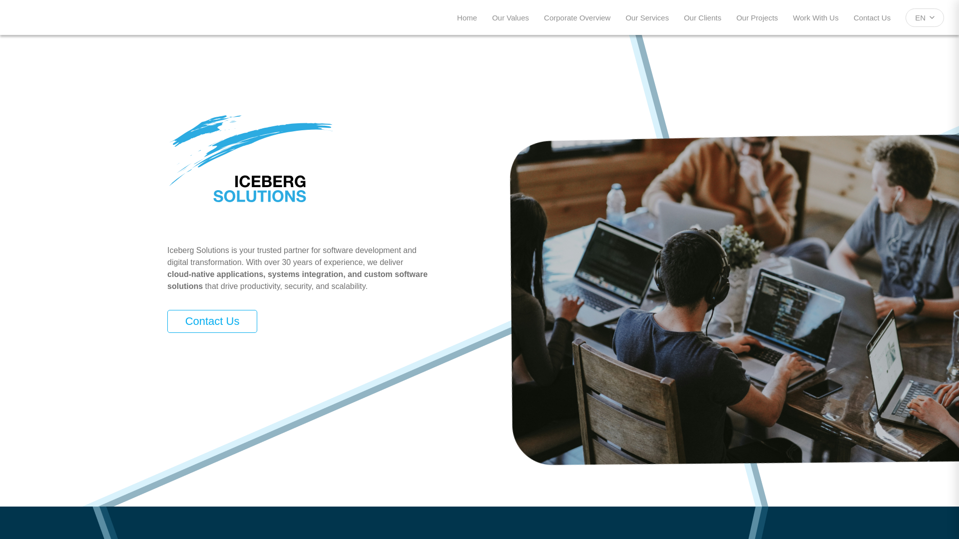 website screenshot of https://trueicebergsolutions.com/