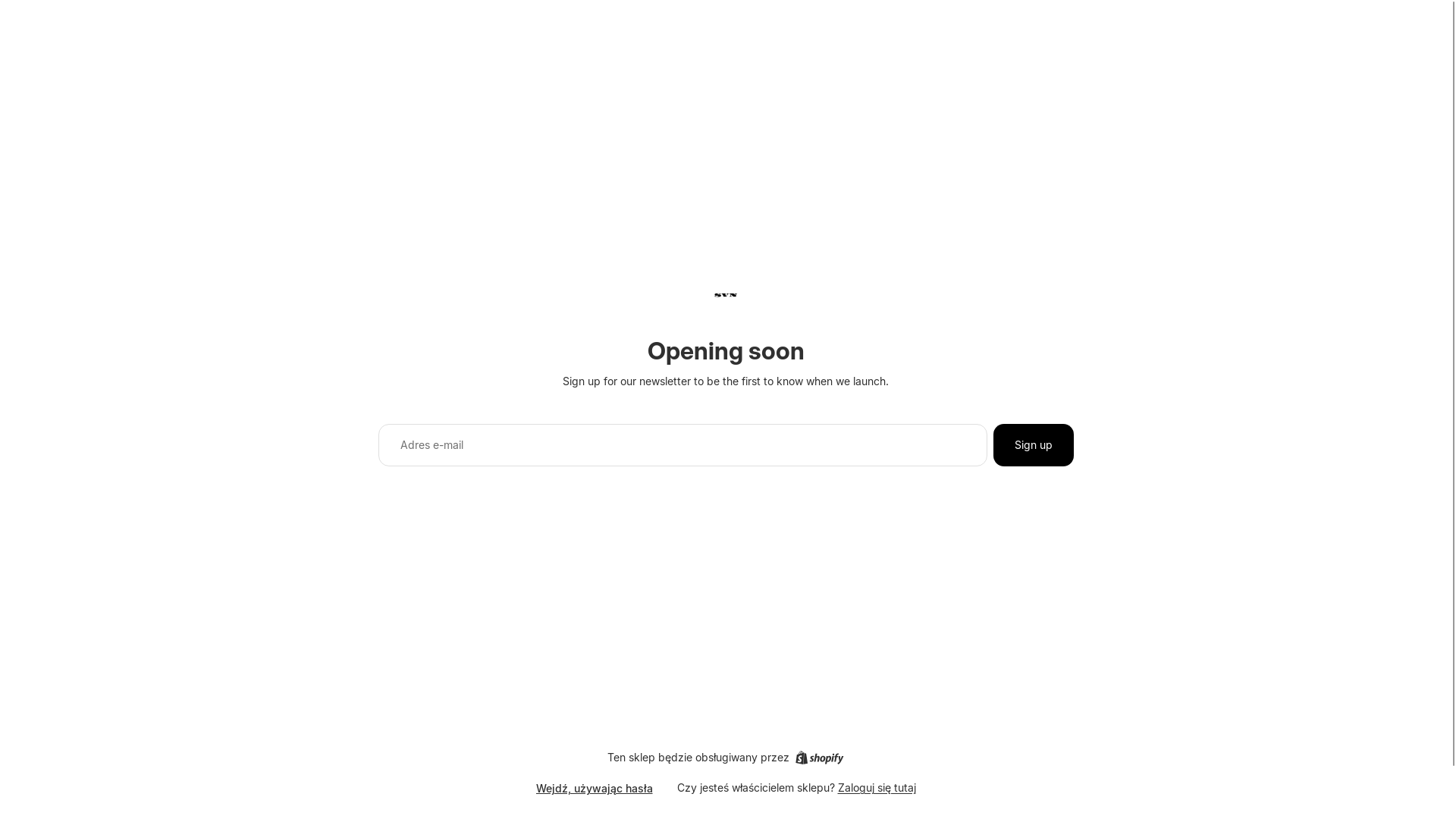 website screenshot of https://svn.com.pl/