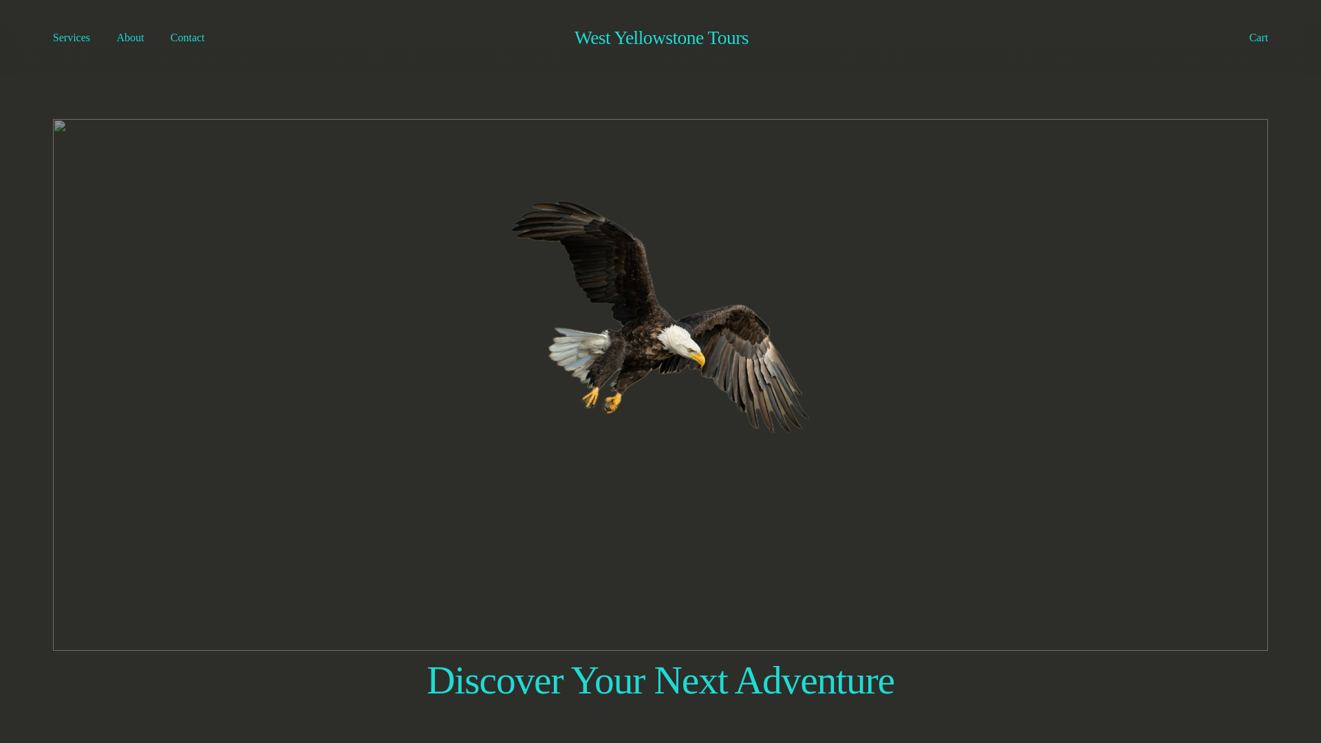 website screenshot of https://westyellowstonetoursllc.com/