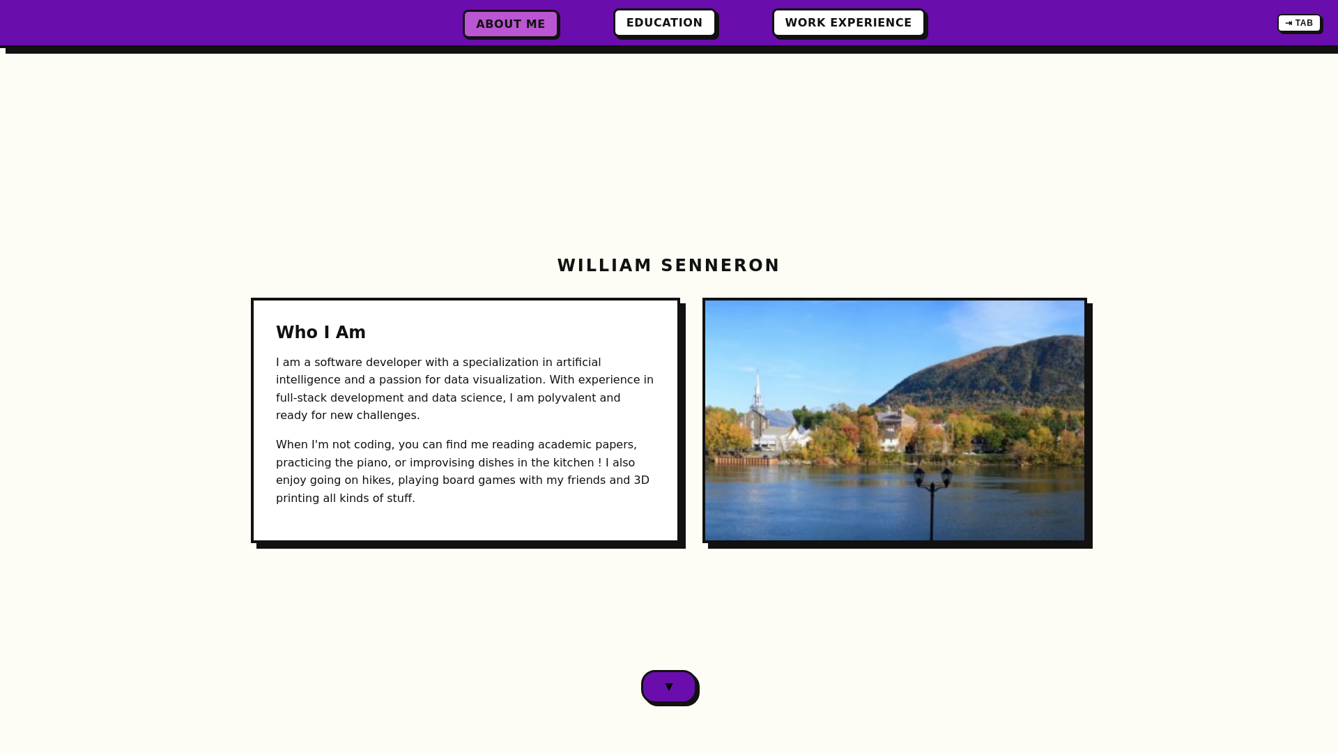 website screenshot of https://williamsenneron.com/