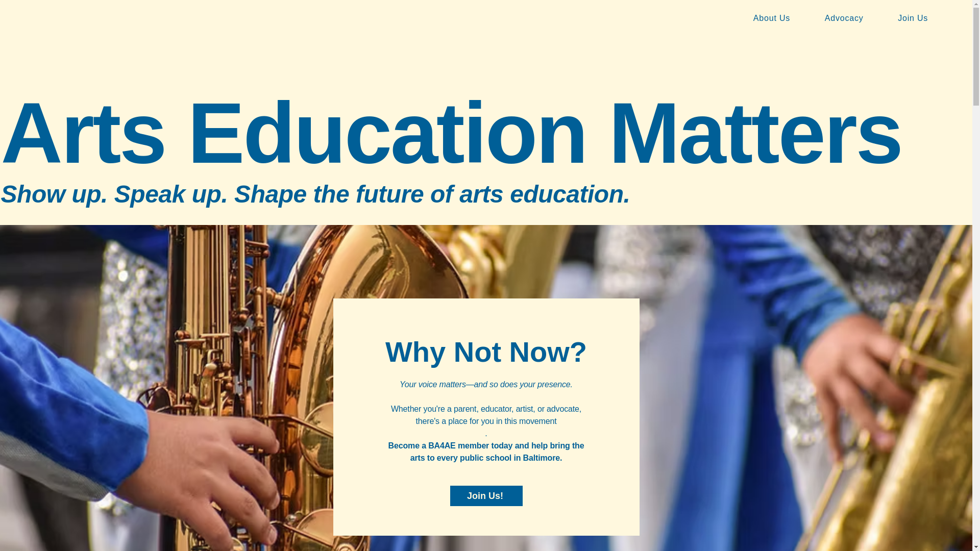 website screenshot of https://ba4ae.org/
