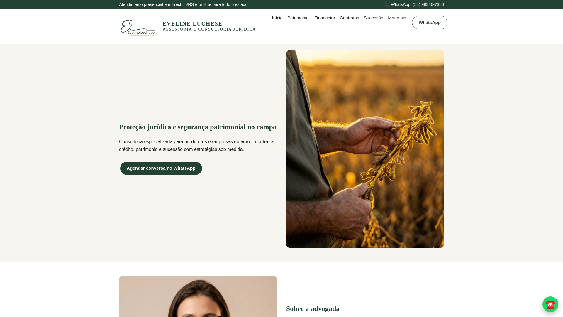 website screenshot of https://lucheseadv.com.br/
