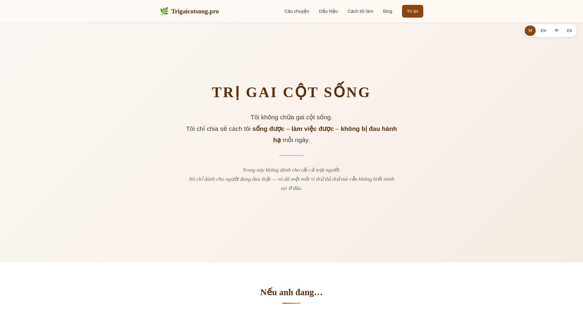 website screenshot of https://trigaicotsong.pro/