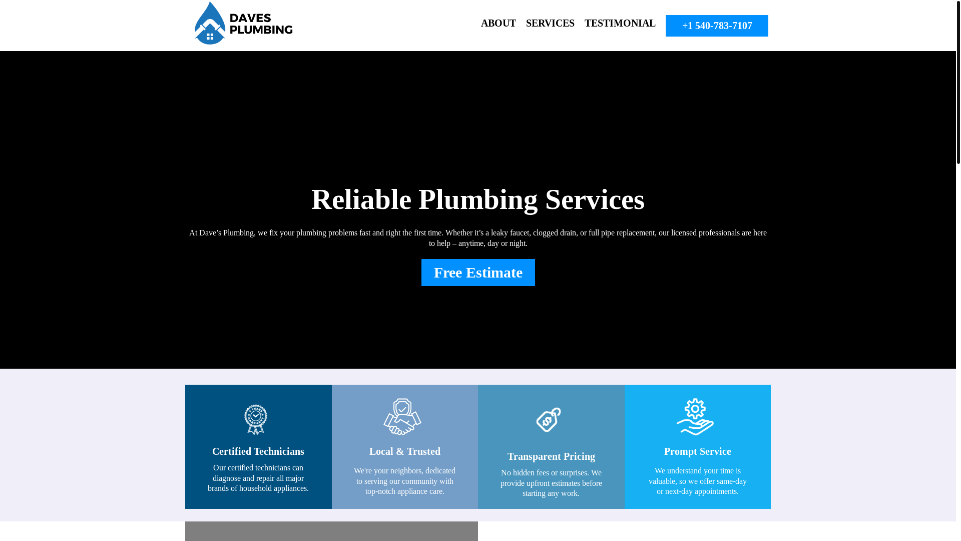 website screenshot of https://daves.plumbing/
