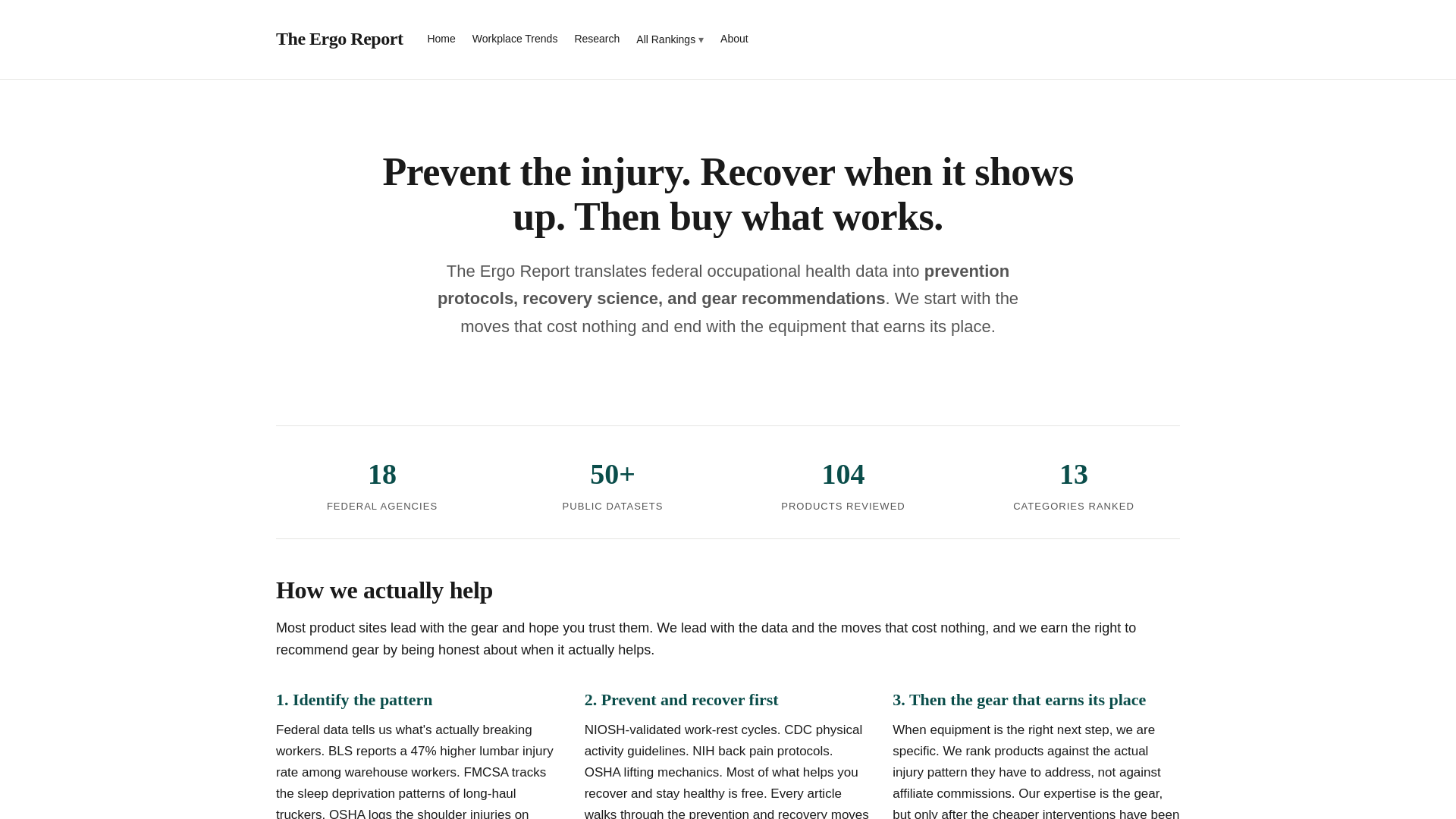 website screenshot of https://theergoreport.com/