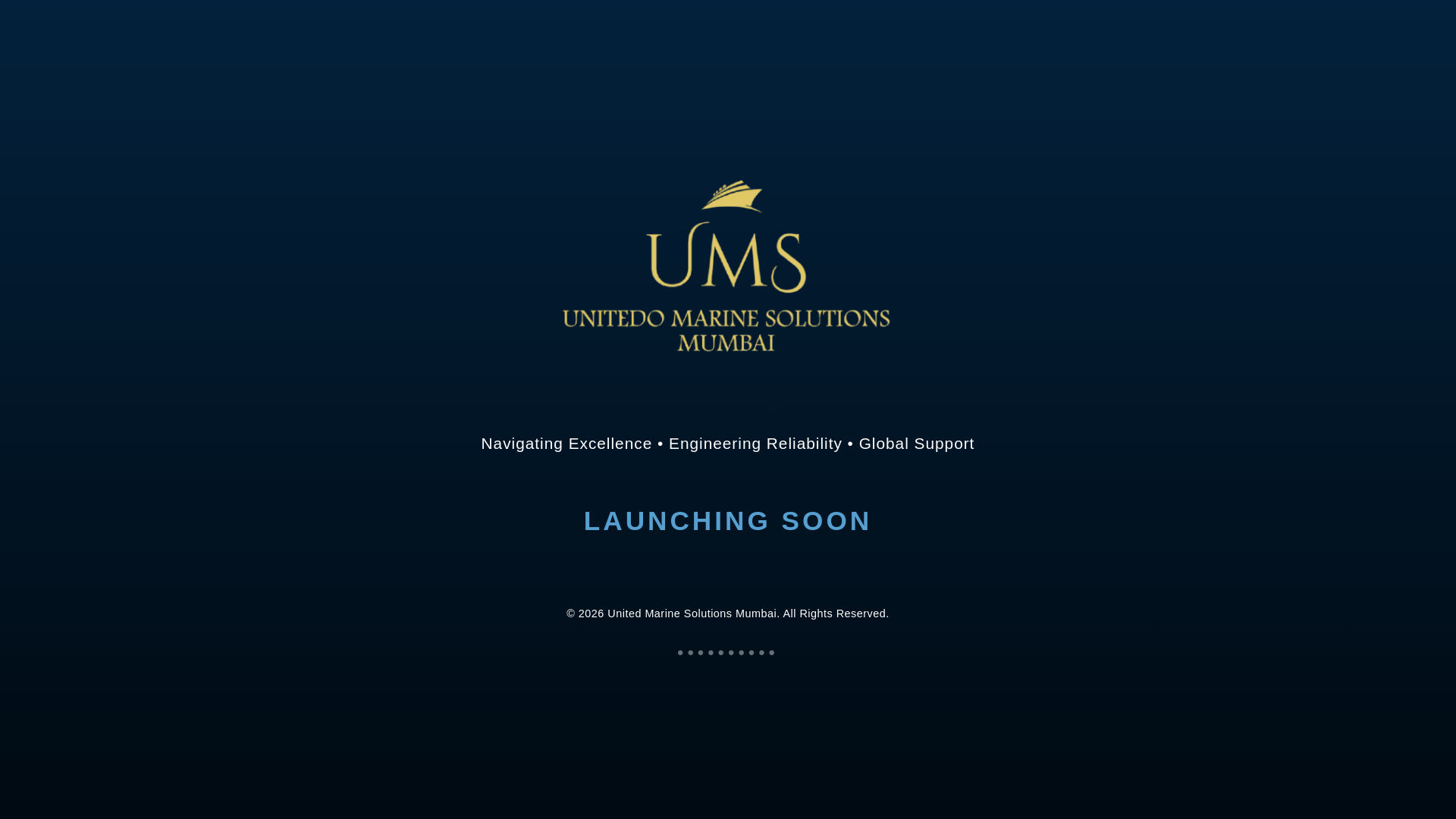 website screenshot of https://unitedomarine.com
