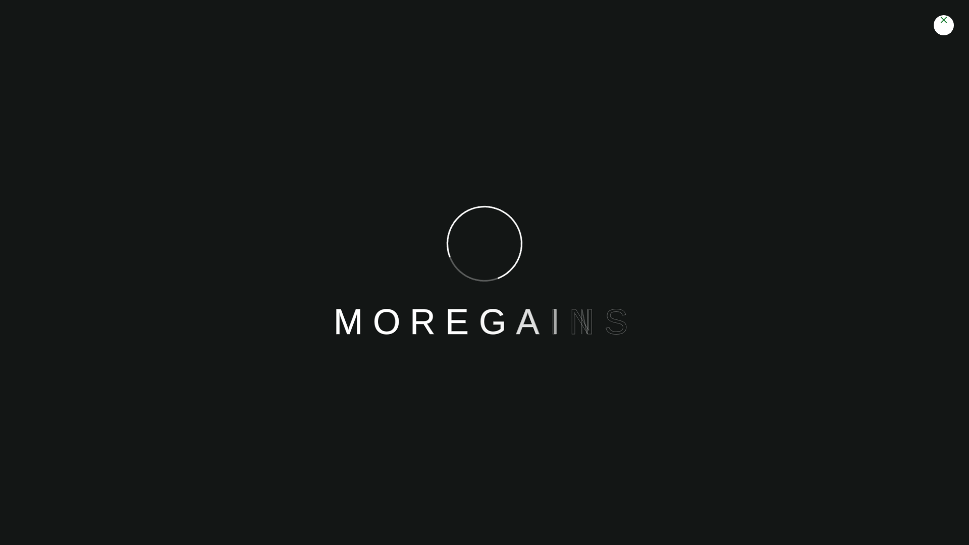 website screenshot of https://moregains.biz/