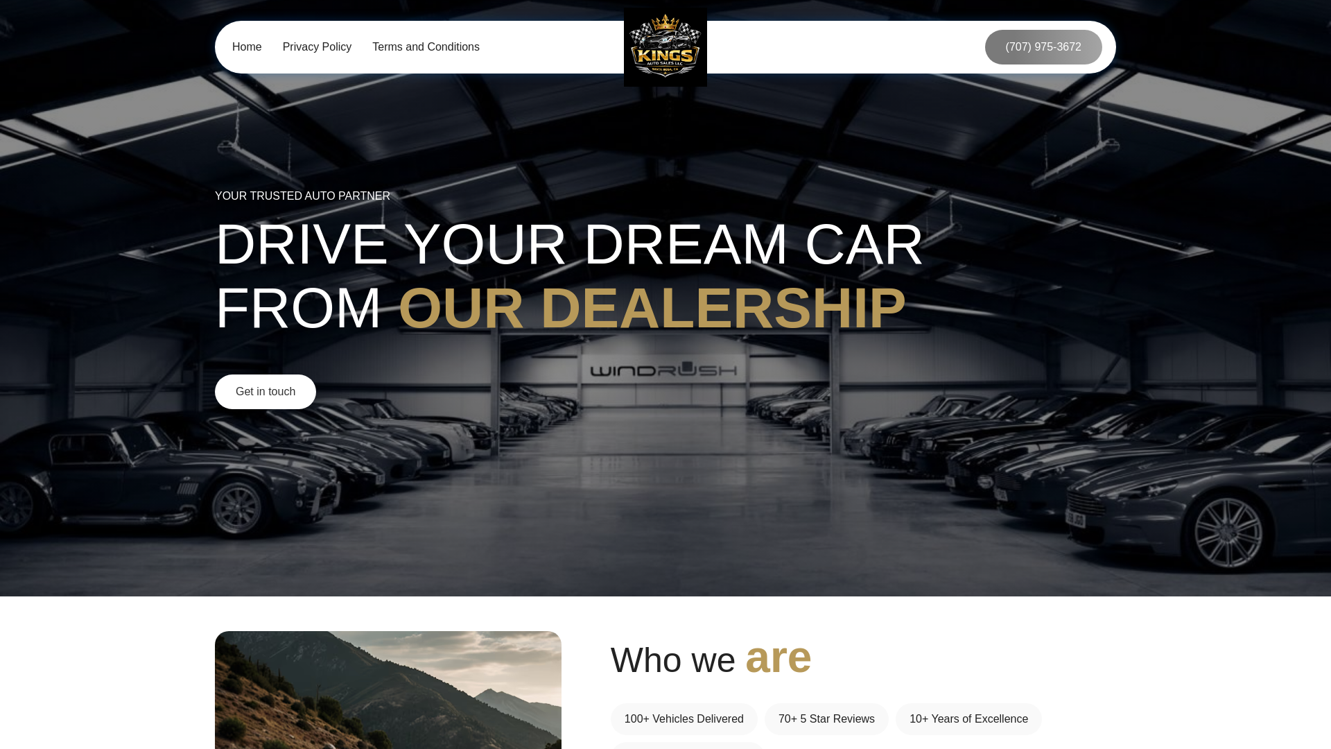 website screenshot of https://salivatore.cyou