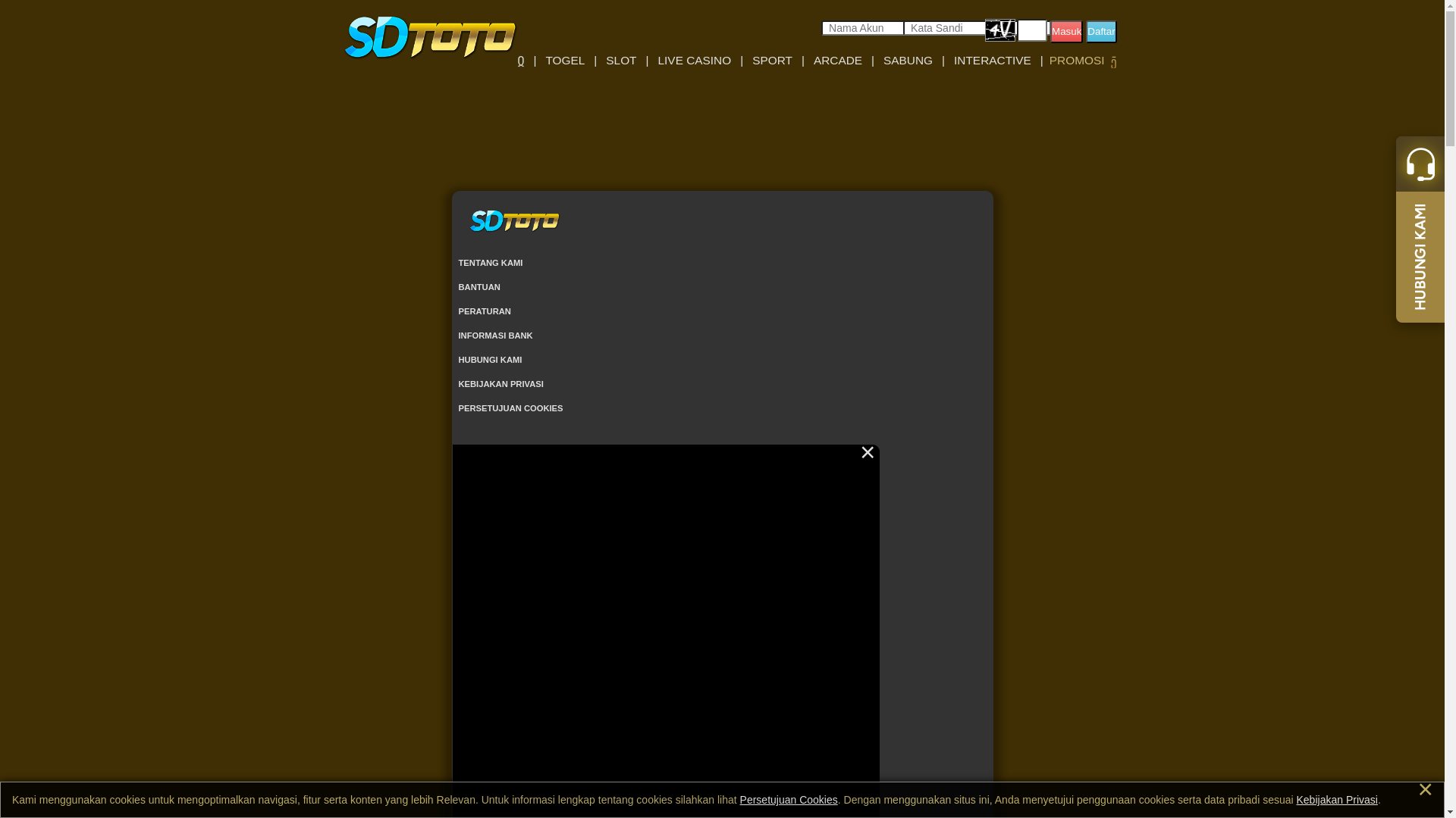 website screenshot of https://sdminuman.com/