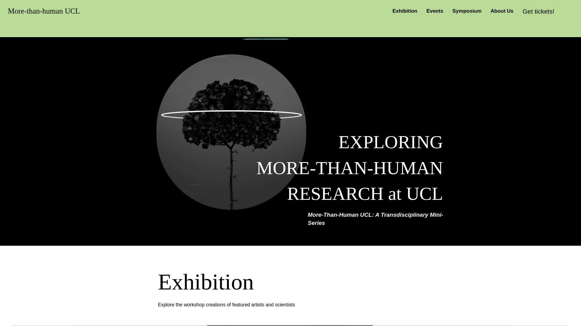 website screenshot of https://morethanhumanproject.co.uk/