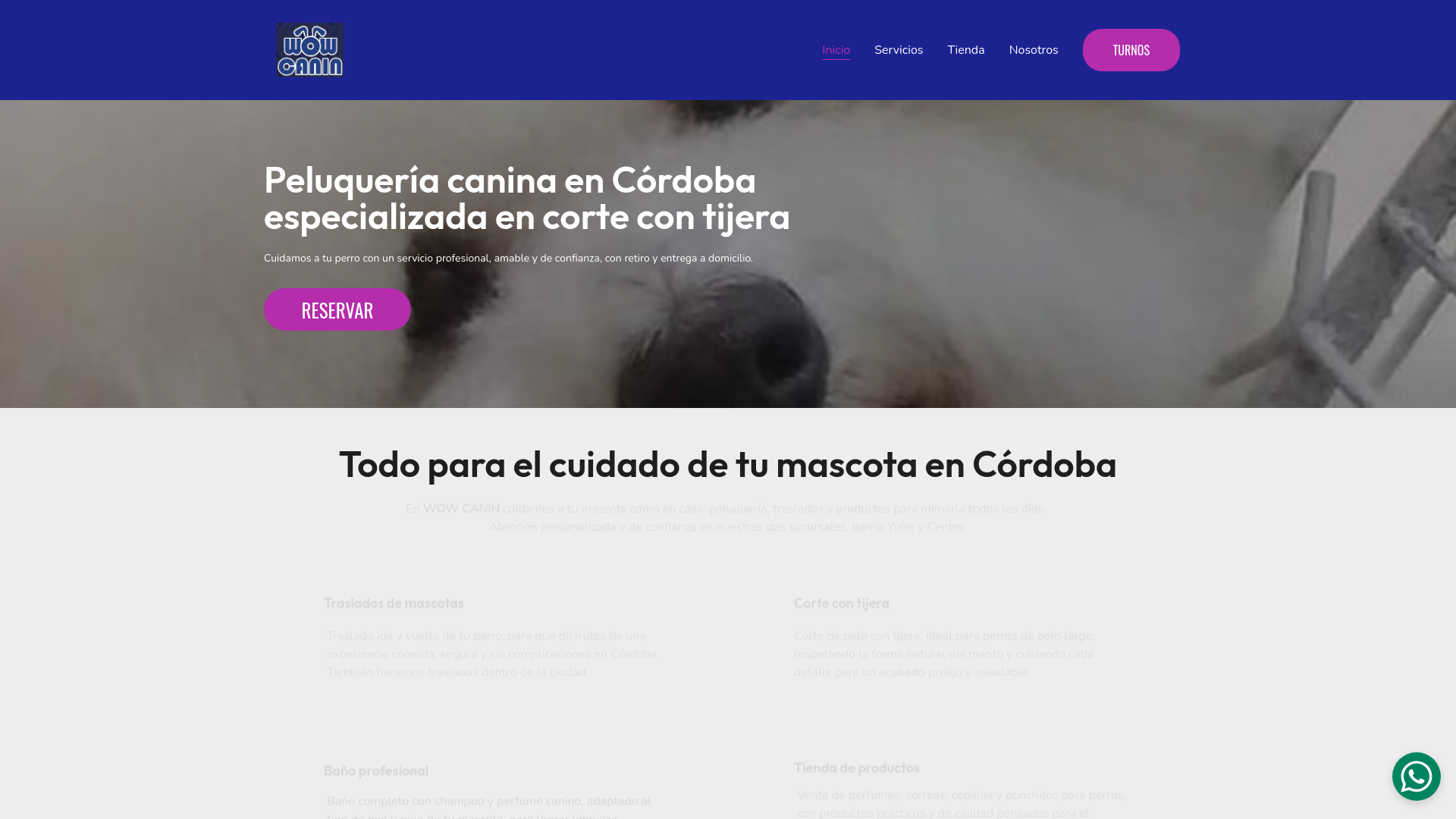 website screenshot of https://wowcanin.com/