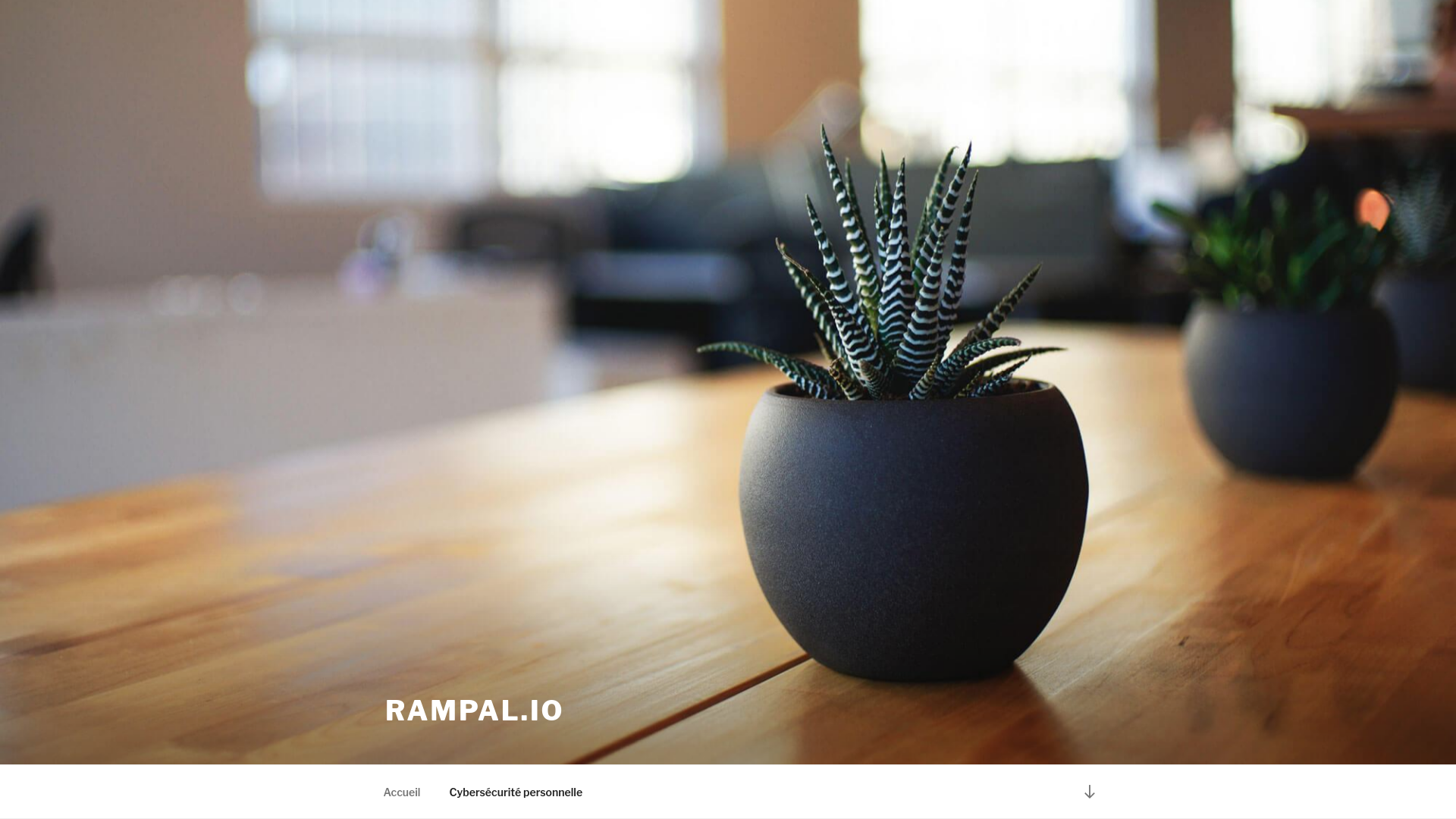 website screenshot of https://rampal.io/