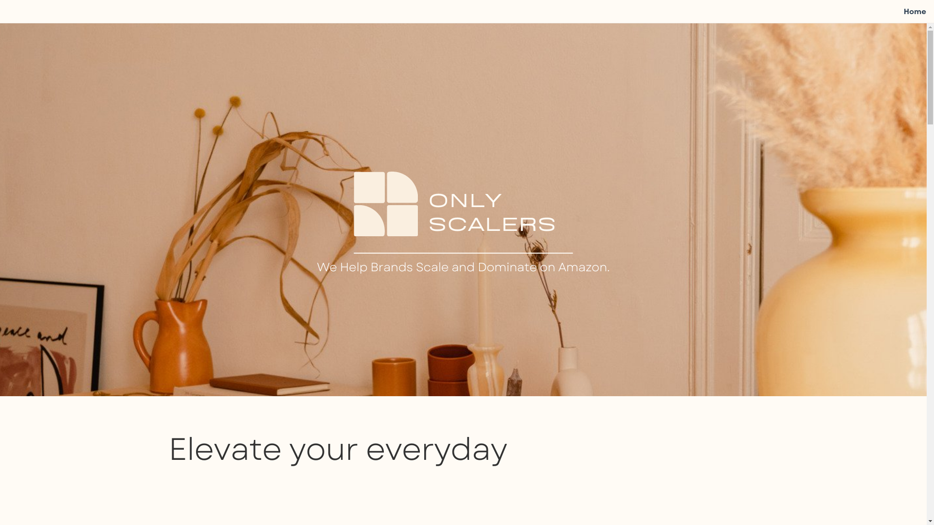 website screenshot of https://onlyscalers.org/