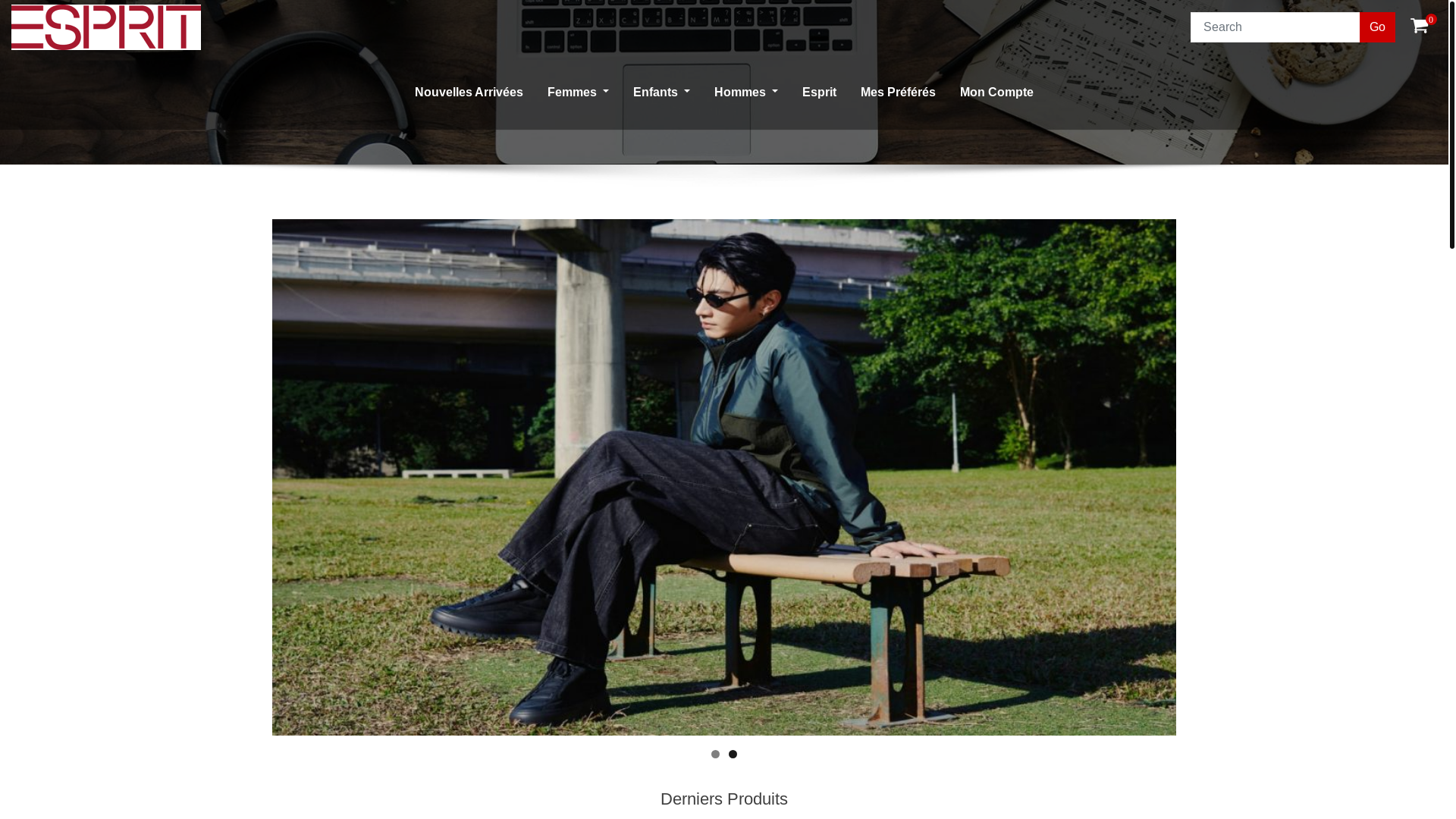 website screenshot of https://erikbundgaard.shop/