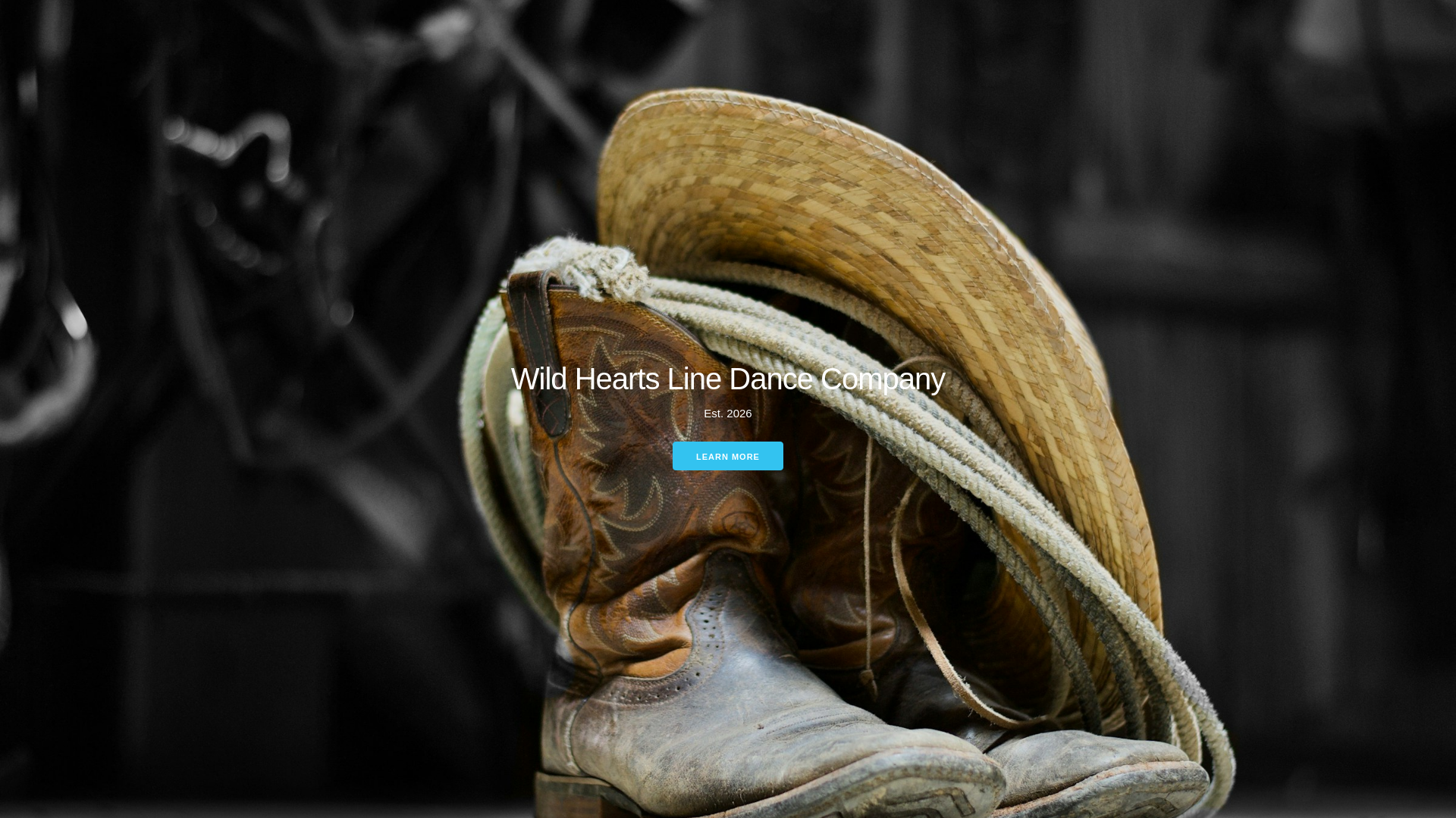 website screenshot of https://wildheartsldc.com