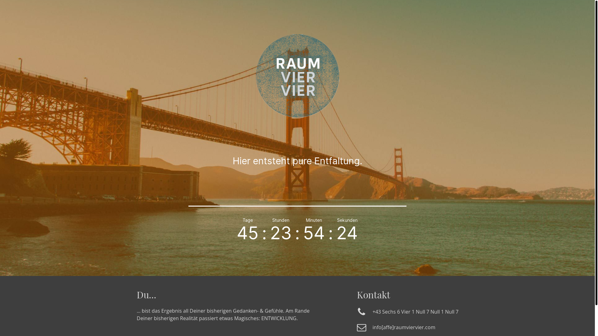 website screenshot of https://raumviervier.com/