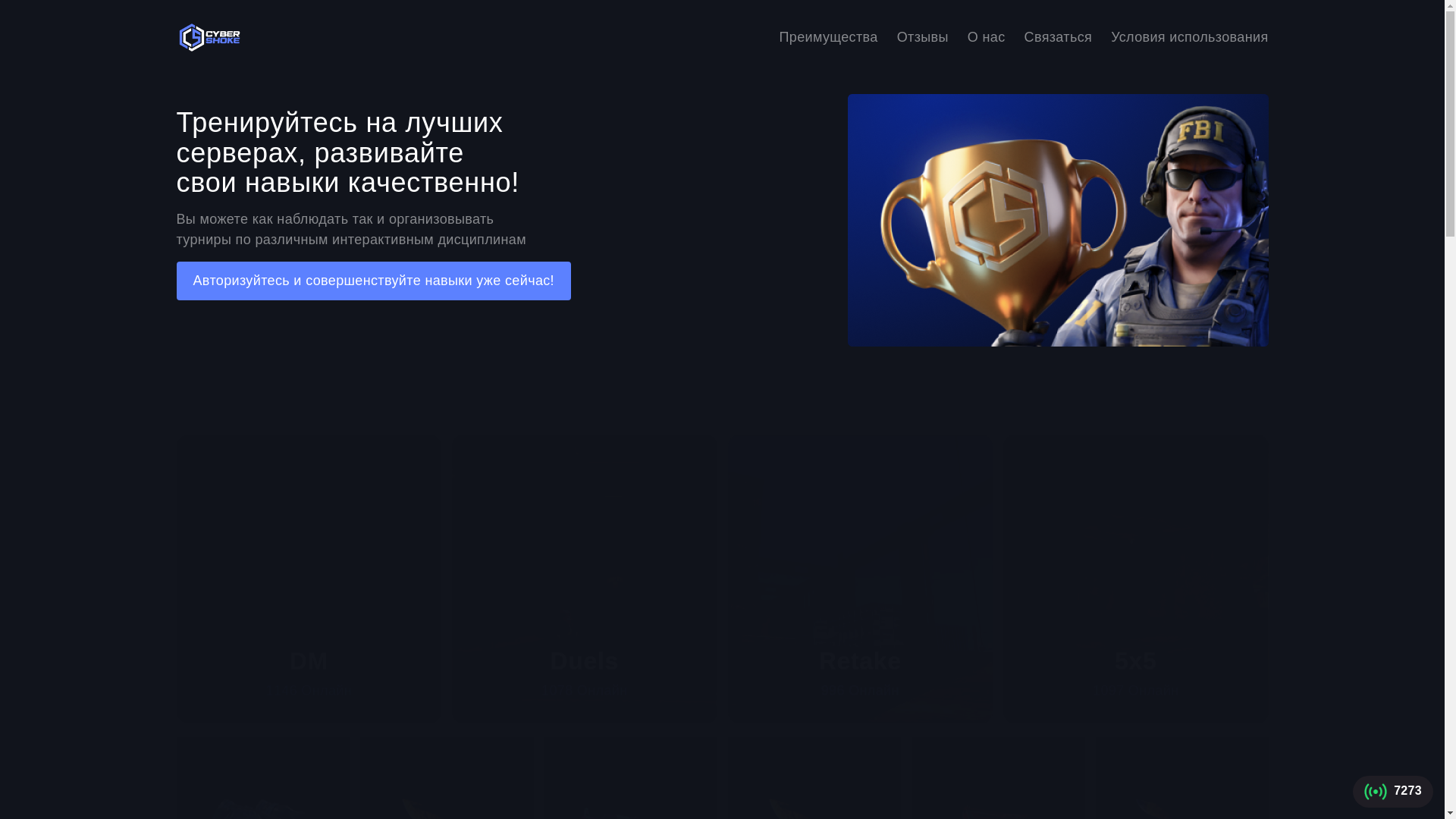 website screenshot of https://cyqershoke.com/
