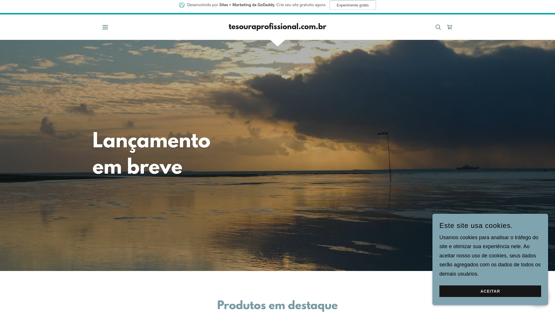 website screenshot of https://tesouraprofissional.com.br/