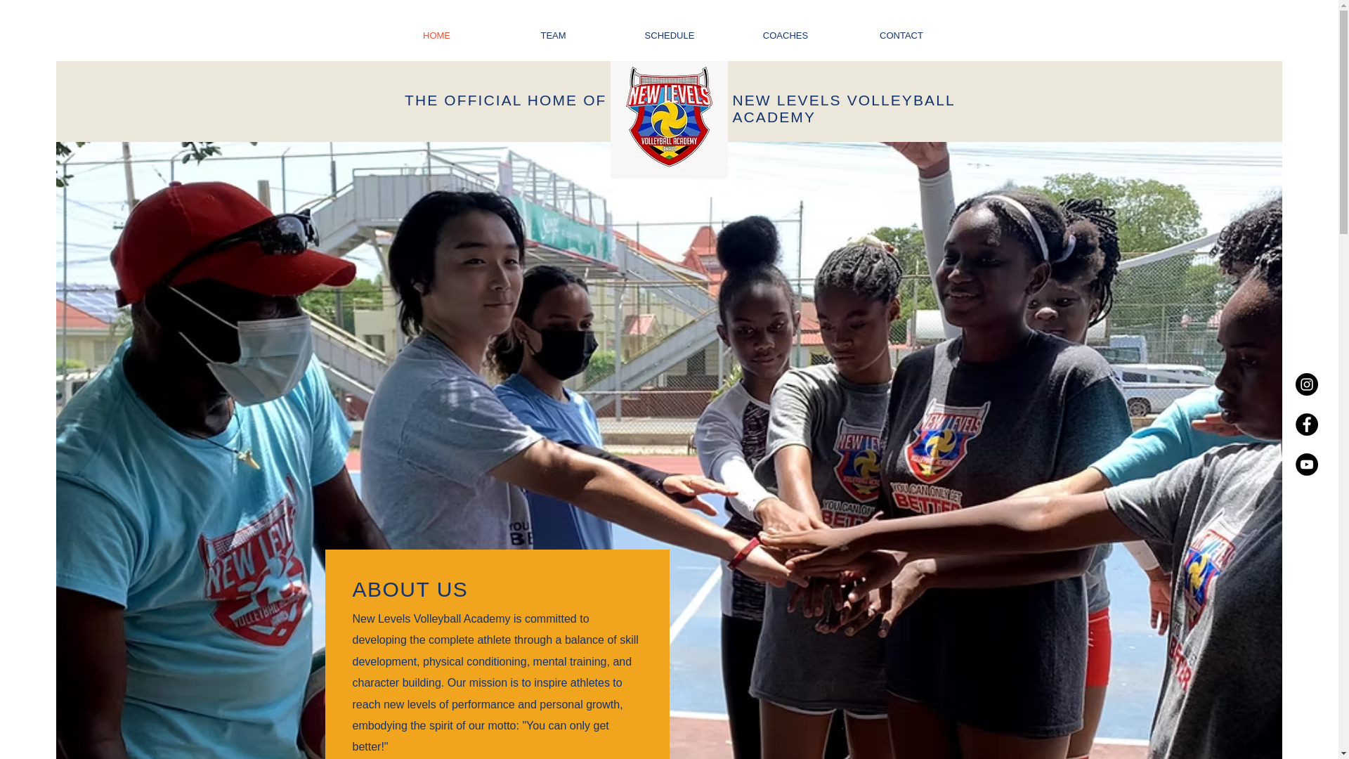 website screenshot of https://newlevelsvolleyballja.com/