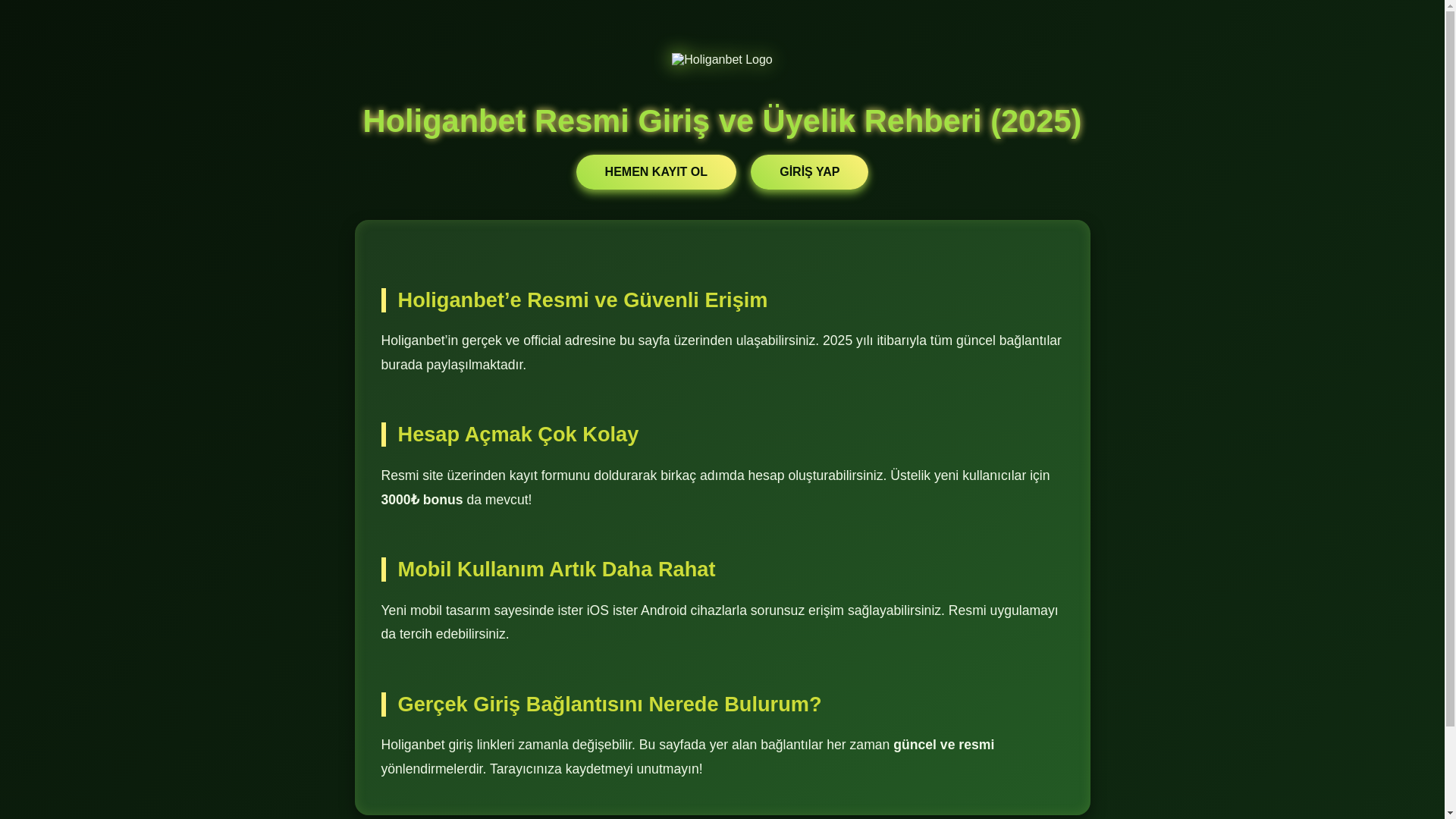 website screenshot of https://holiganbetgiris-adres.com/