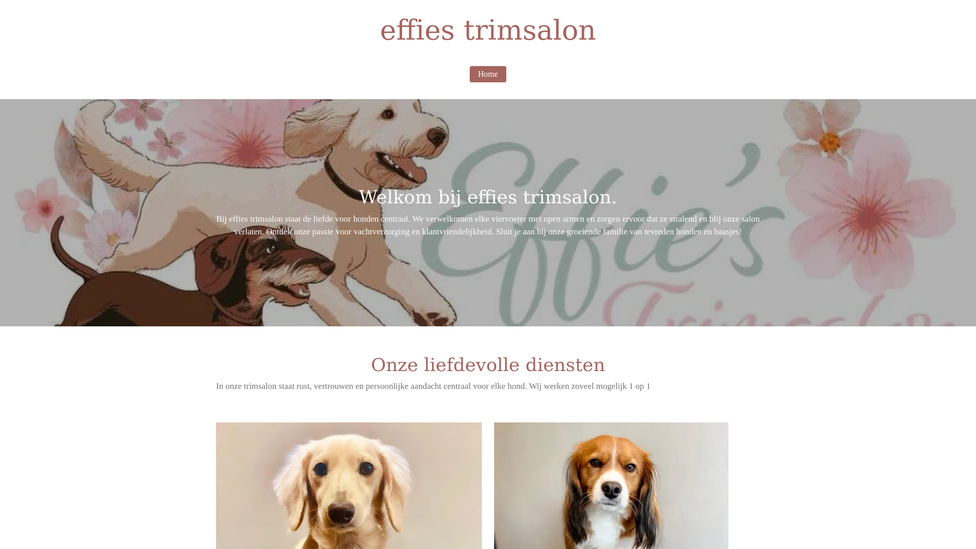 website screenshot of https://effiestrimsalon.nl/