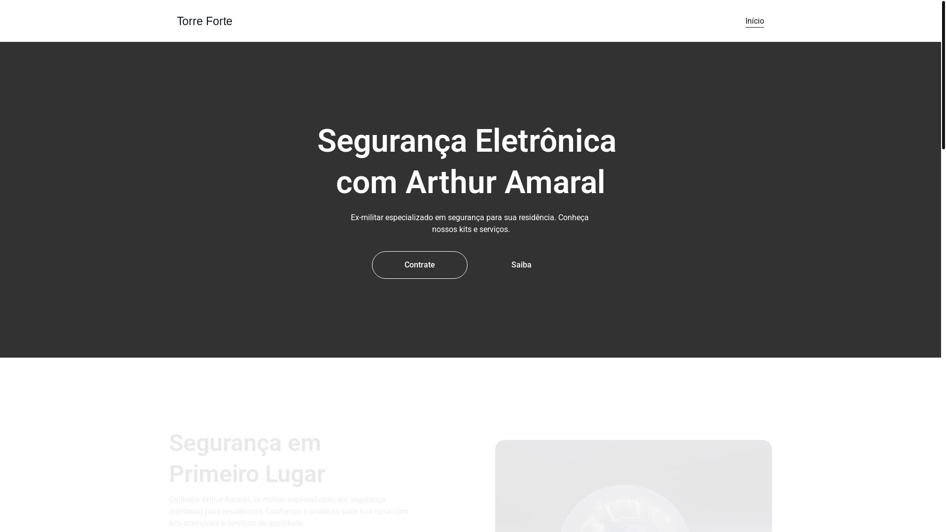 website screenshot of https://torreforteseguranca.com.br/
