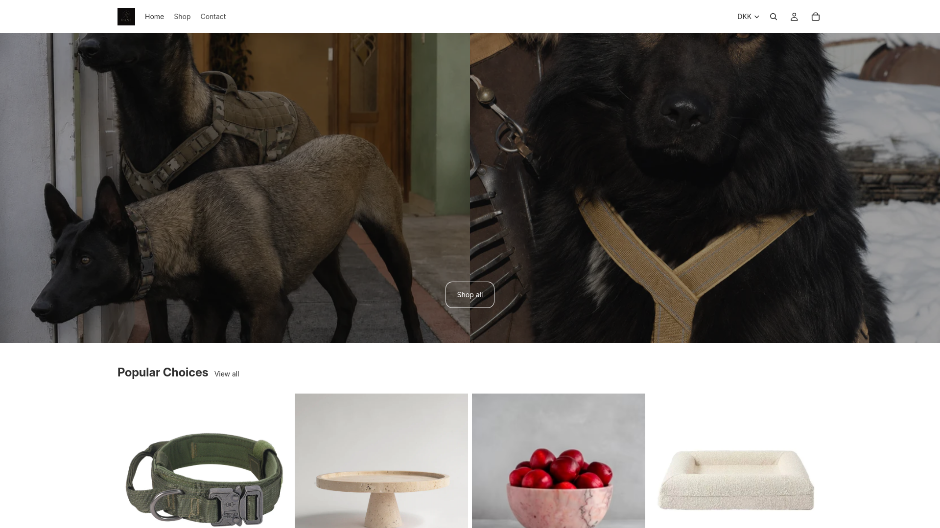 website screenshot of https://danestudio.shop/