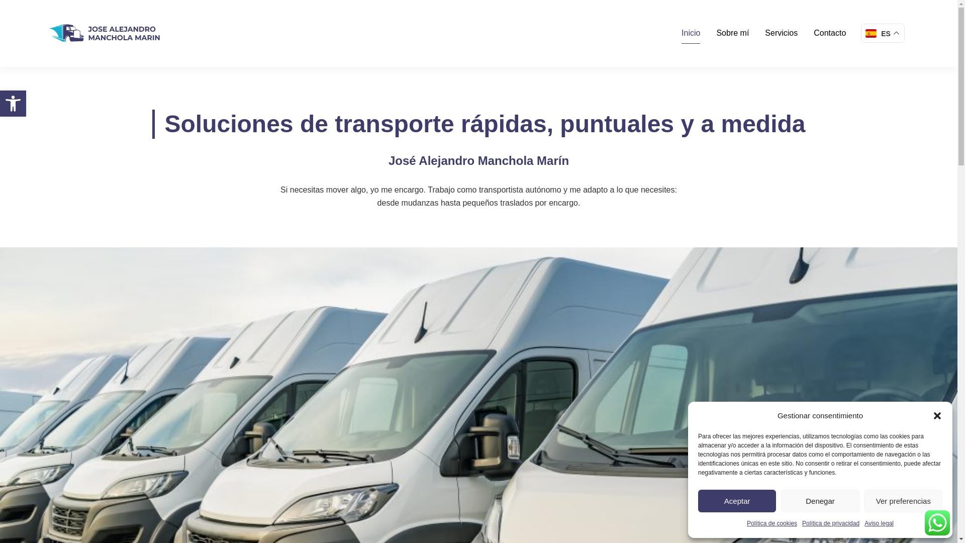 website screenshot of https://alejandromanchola.com/