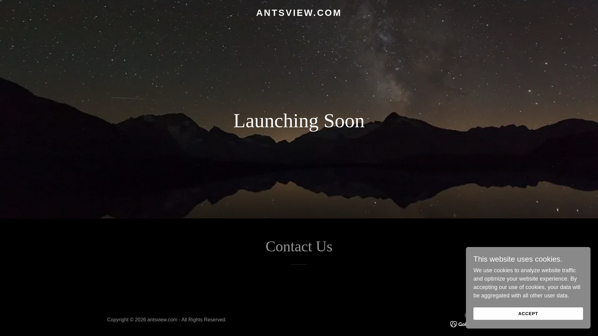 website screenshot of https://ants-view.com