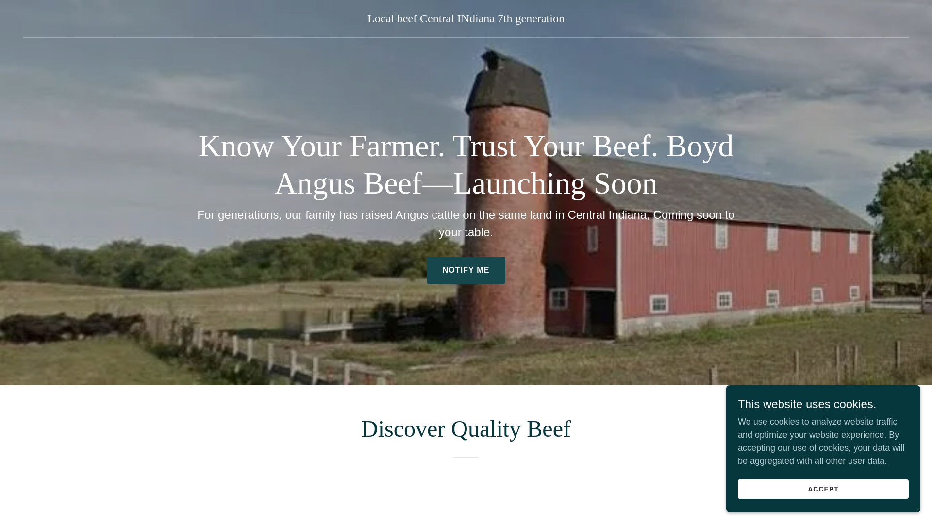 website screenshot of https://boydangusbeef.com/