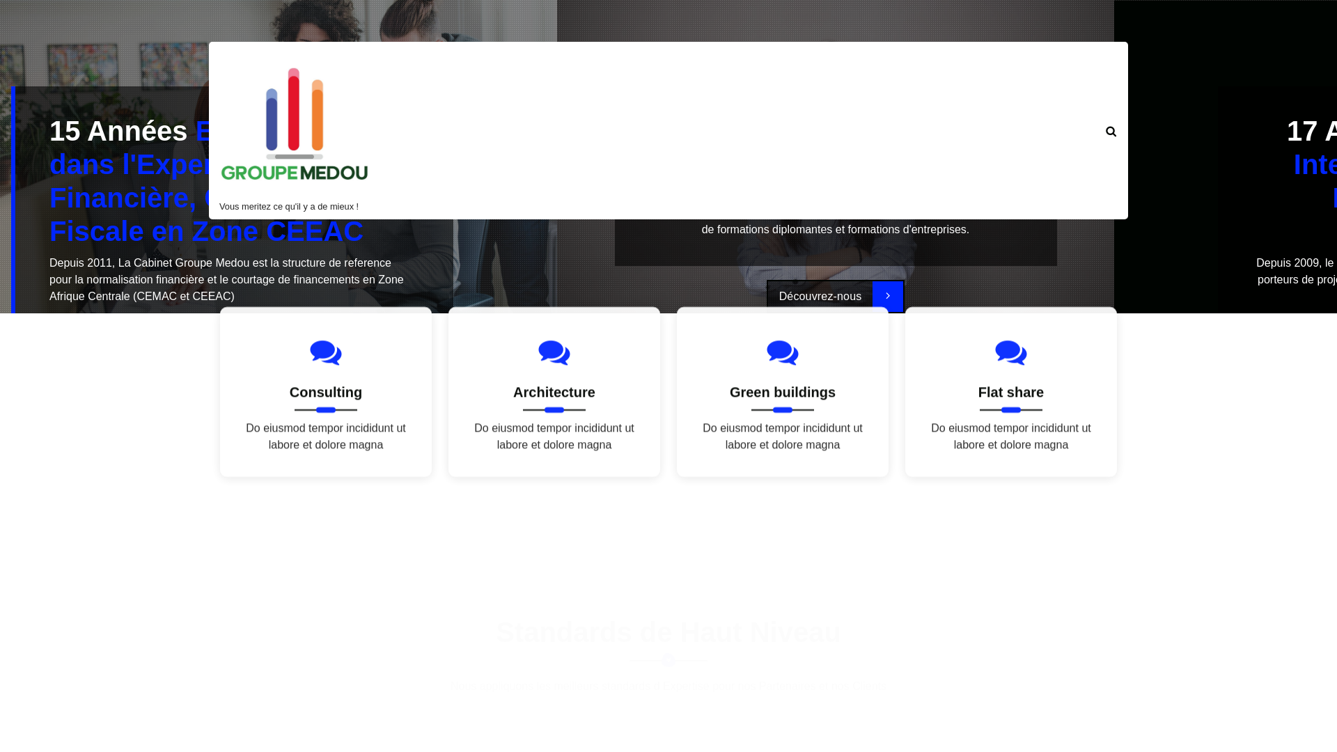website screenshot of https://groupemedou.com/