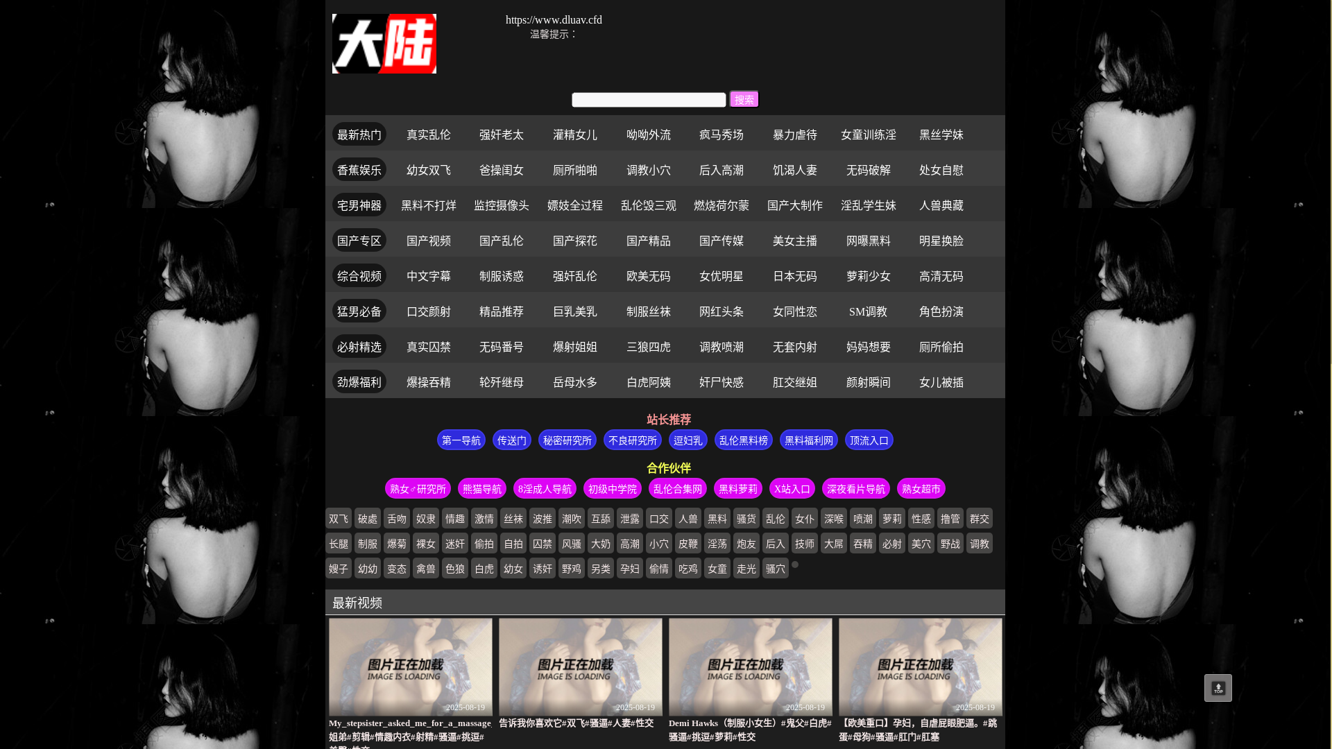 website screenshot of https://dluav2.top/