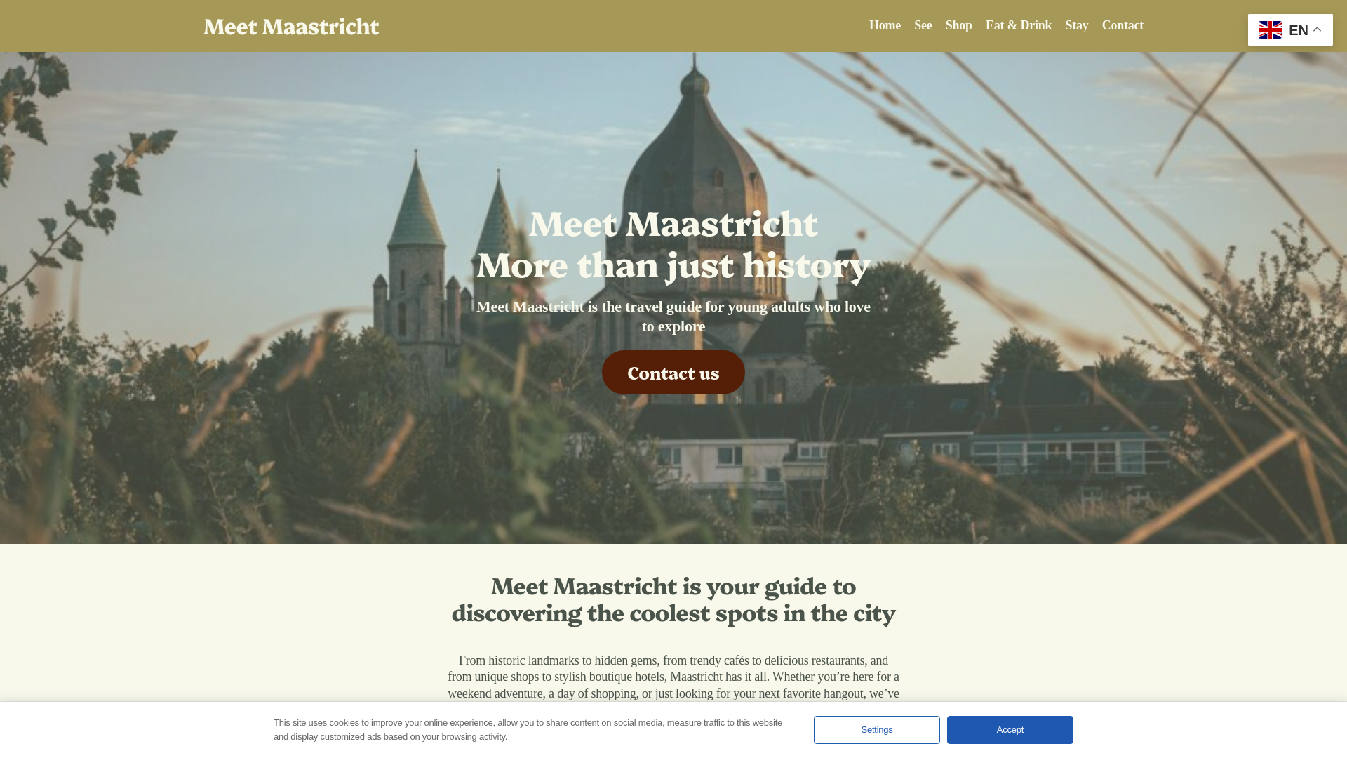 website screenshot of https://meetmaastricht.net