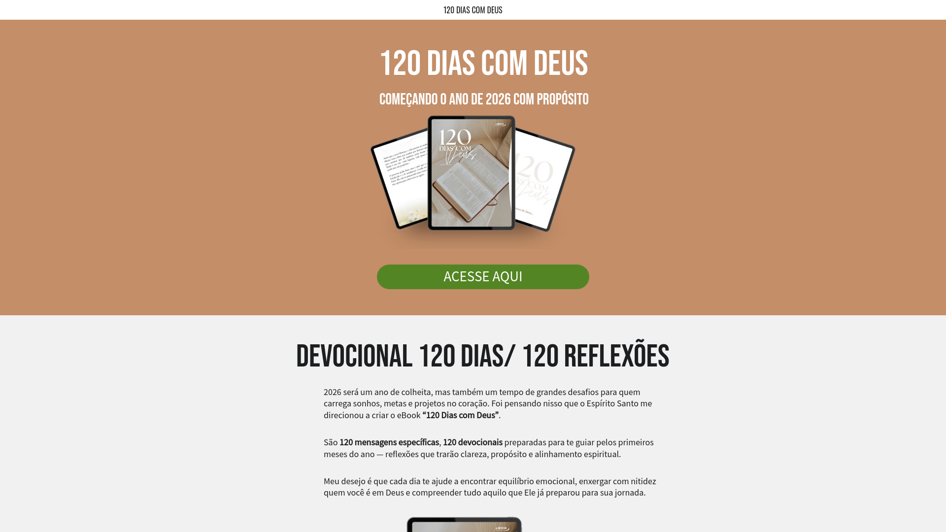 website screenshot of https://ceciliasfalsin.site/