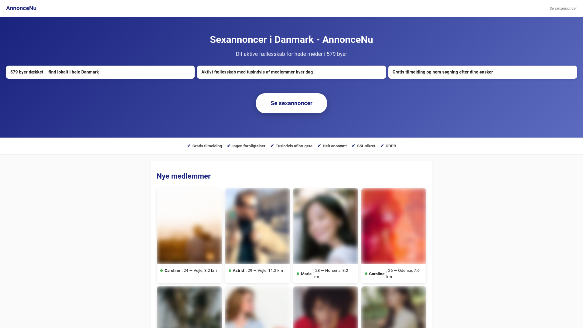 website screenshot of https://sexannoncer.online/