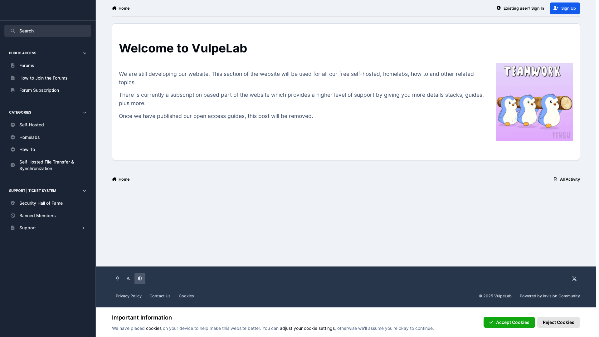 website screenshot of https://vulpelab.com/