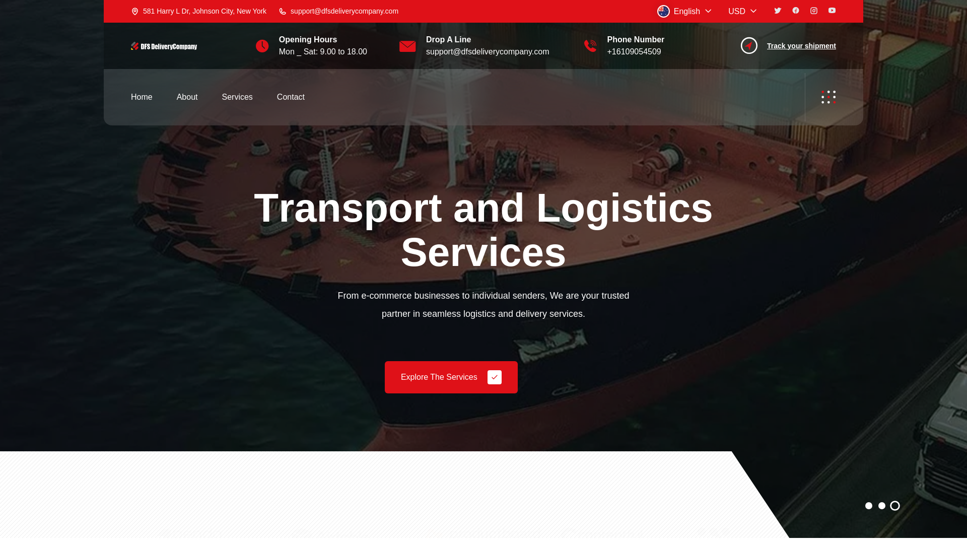 website screenshot of https://dfsdeliverycompany.com/