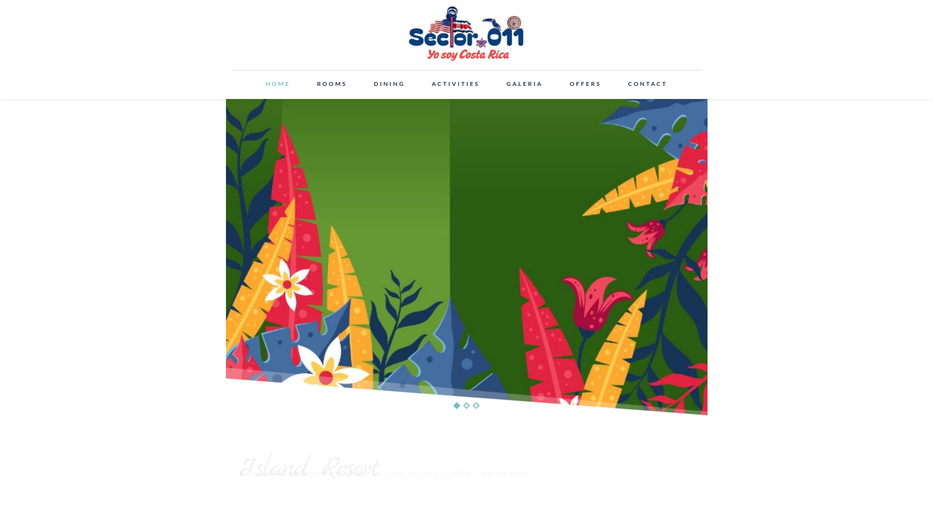 website screenshot of https://sector011cr.org/