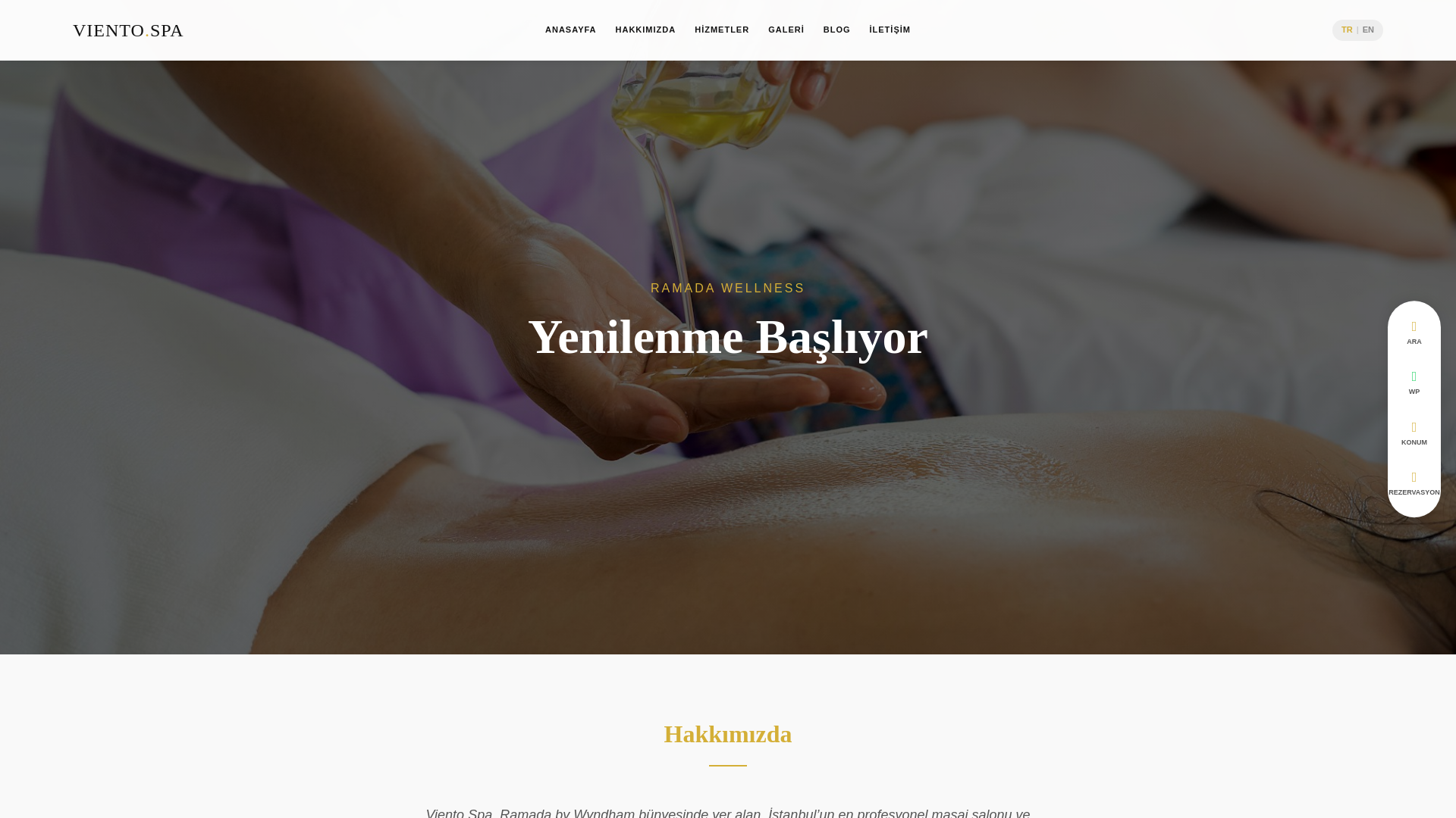 website screenshot of https://vientosparamada.com/