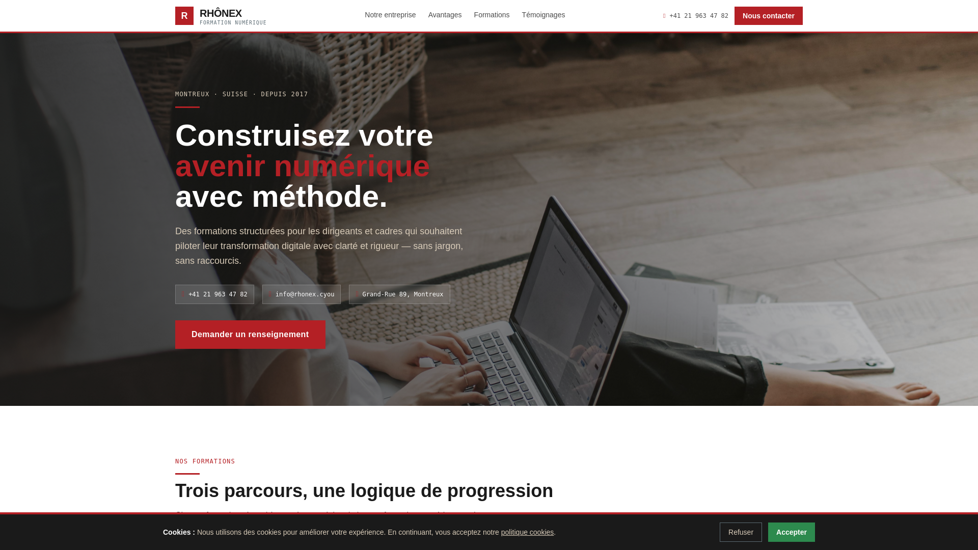 website screenshot of https://rhonex.cyou/