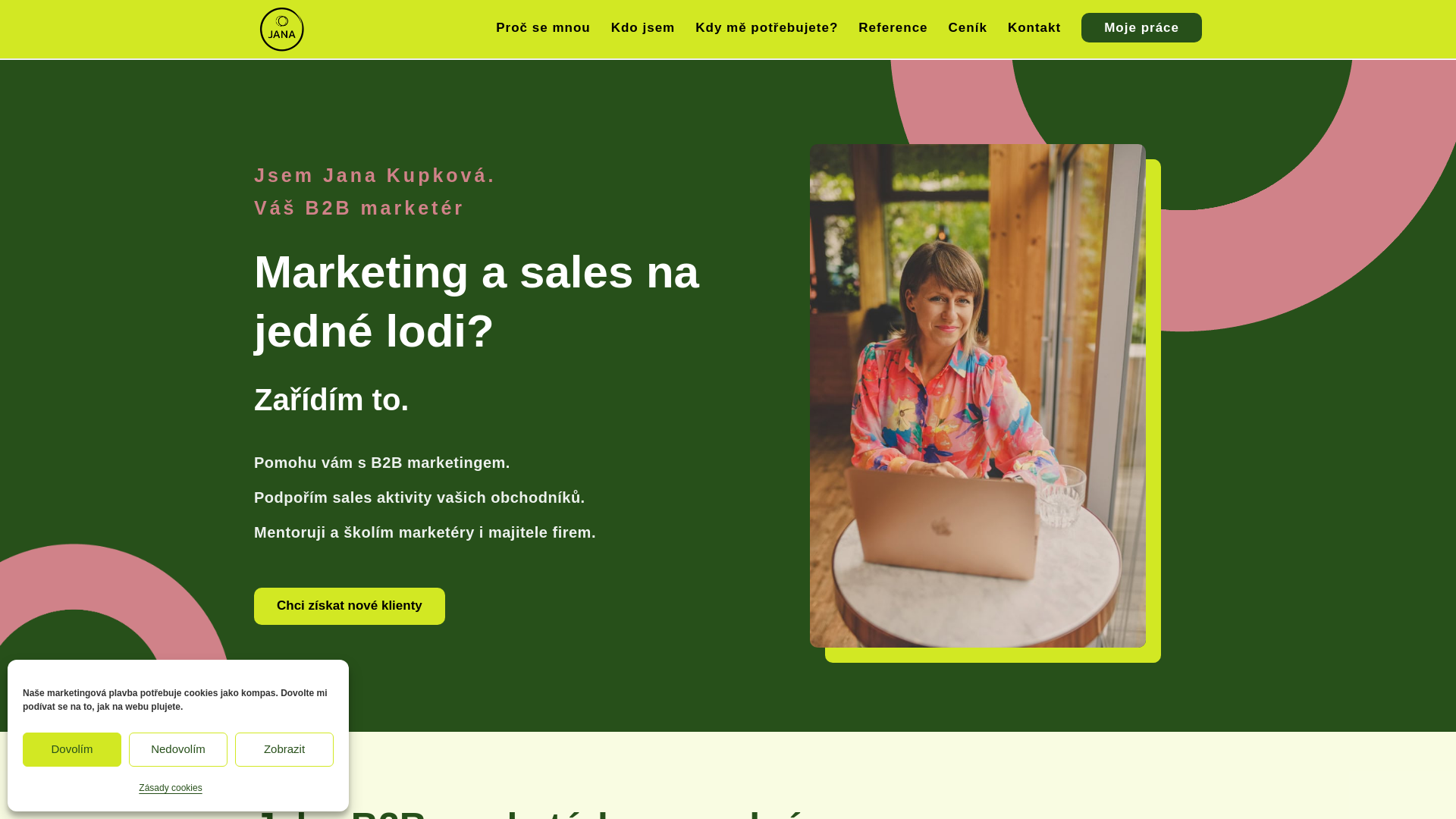 website screenshot of https://janakupkova.cz/