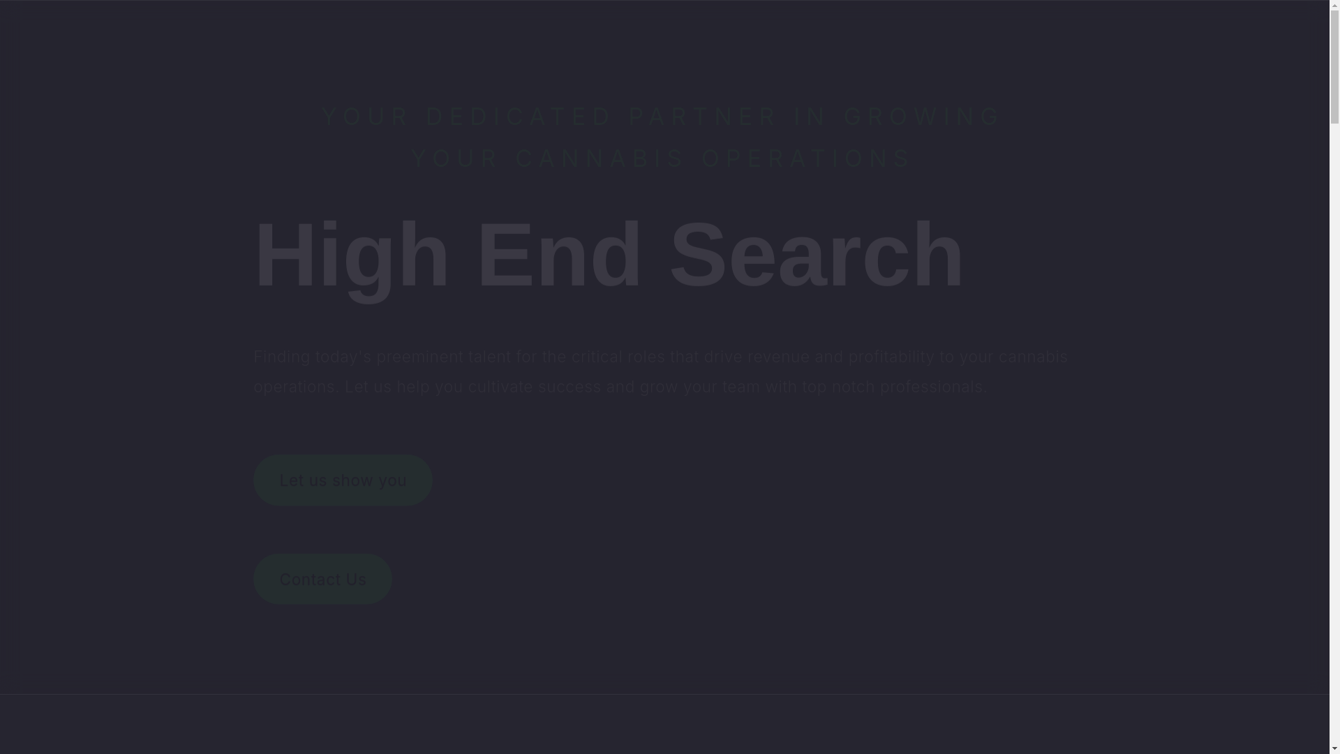 website screenshot of https://highendsearch.net/