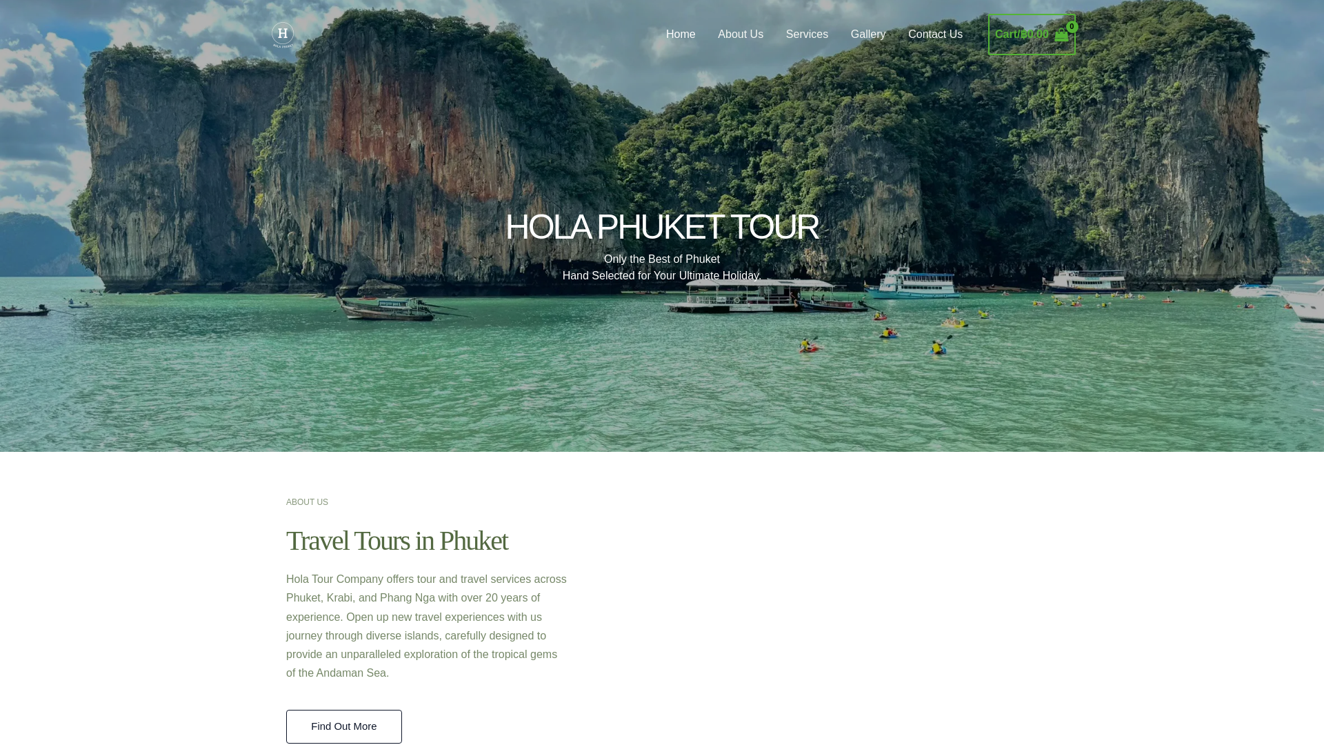 website screenshot of https://holaphuketthailand.com