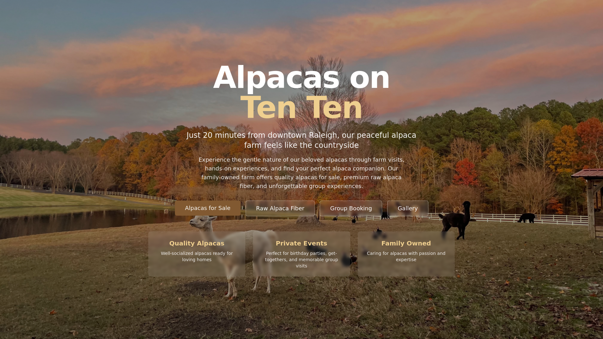 website screenshot of https://alpacas-on-ten-ten.pages.dev/