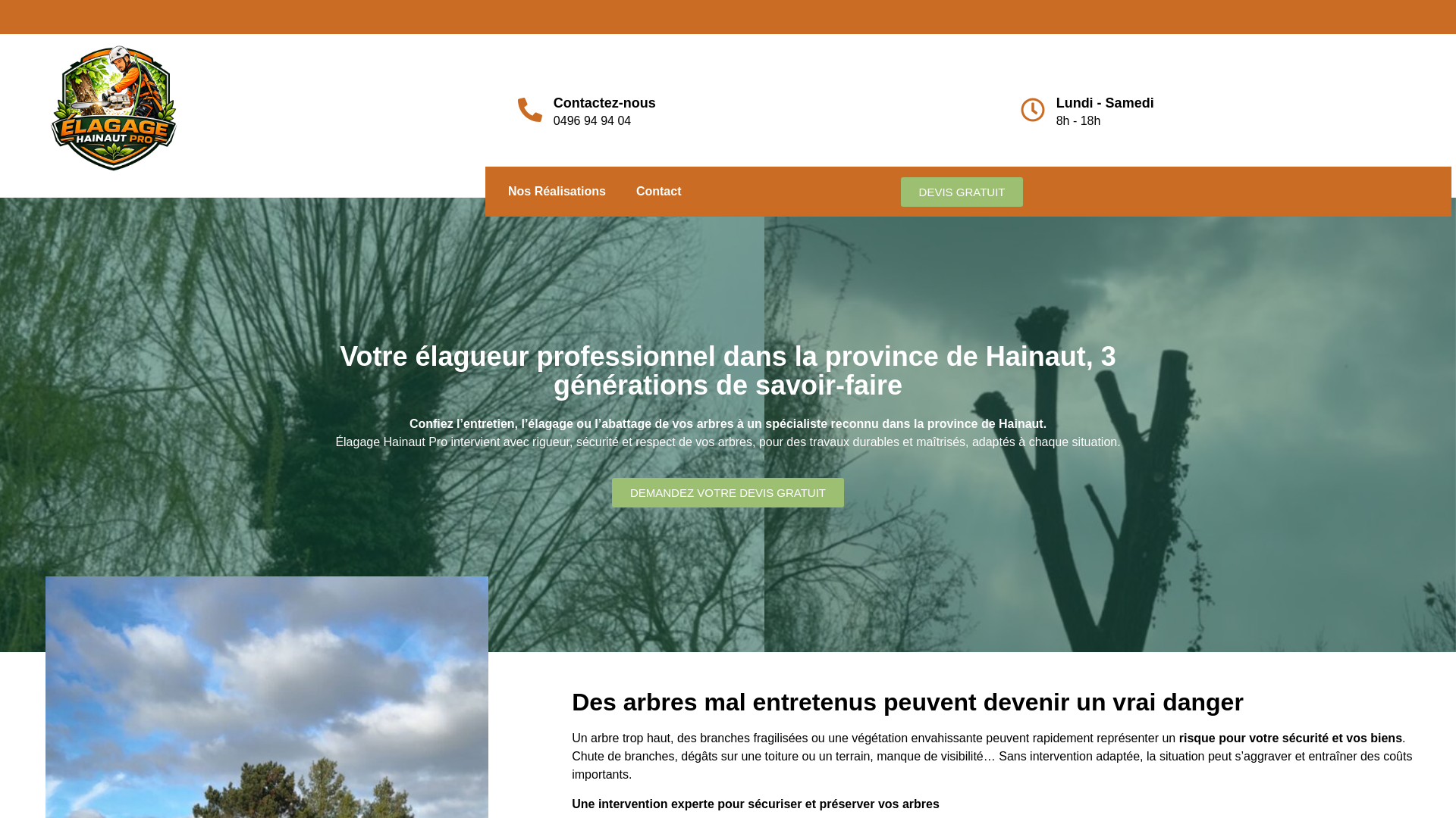 website screenshot of https://elagage-hainaut-pro.be/