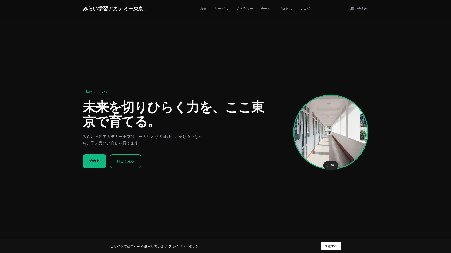 website screenshot of https://sorunetavix.pro