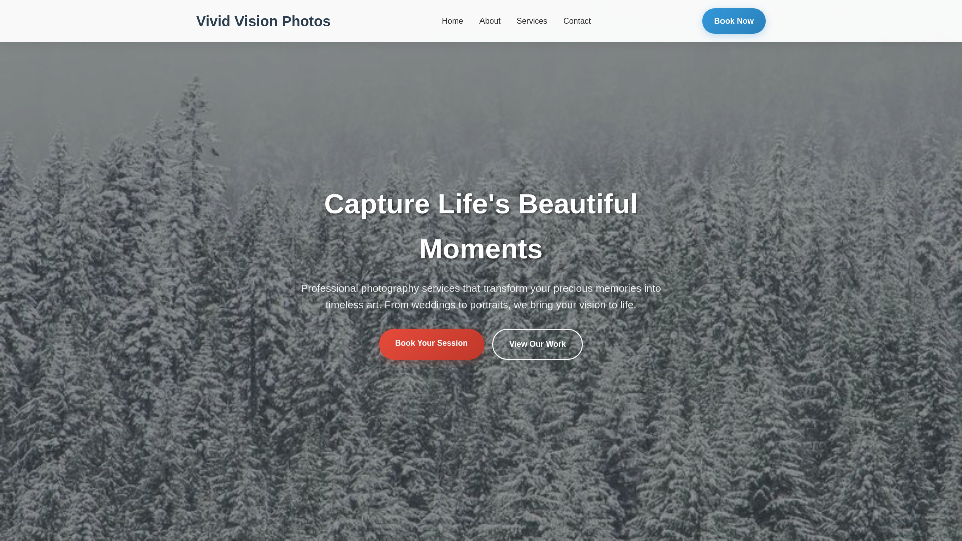 website screenshot of https://vividvisionphotos.xyz/