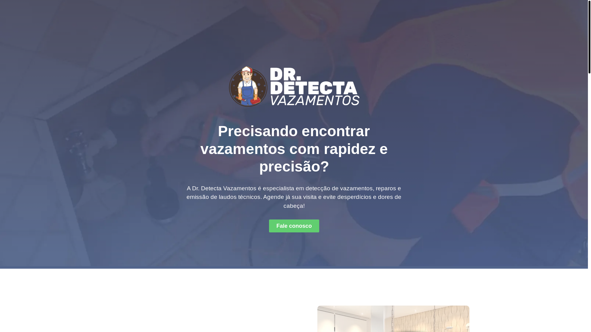 website screenshot of https://drdetectavazamentos.com.br/